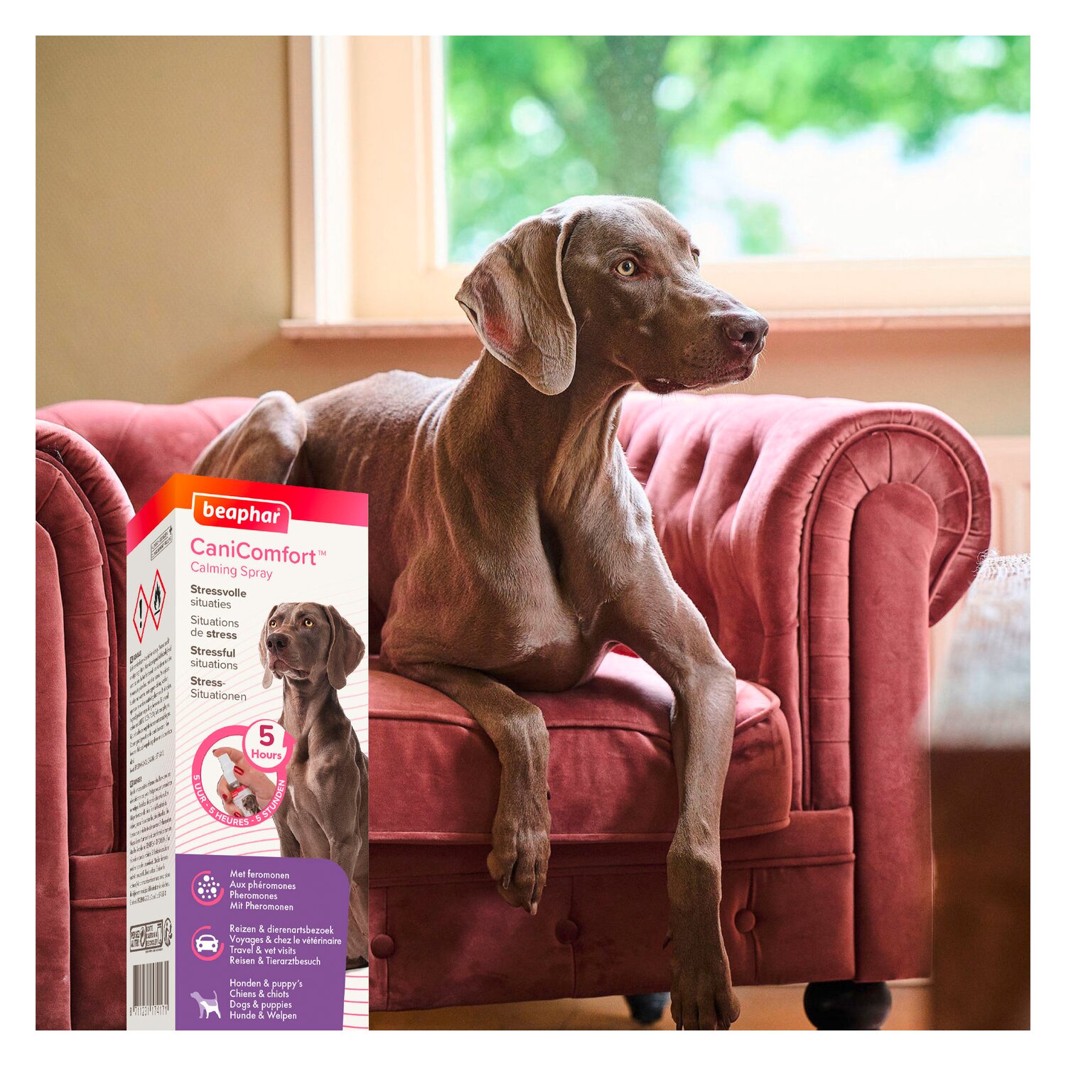 beaphar CaniComfort Wohlfühl-Spray – Ansicht 6