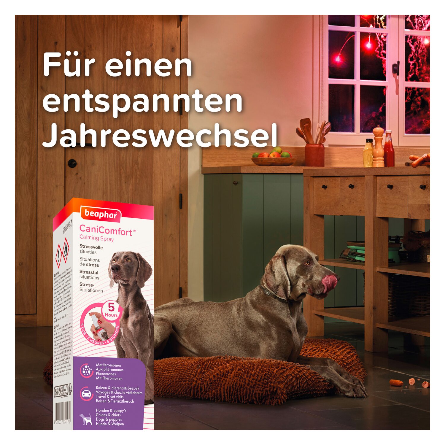 beaphar CaniComfort Wohlfühl-Spray – Ansicht 7
