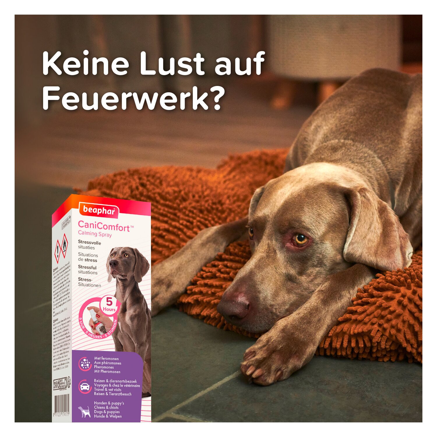 beaphar CaniComfort Wohlfühl-Spray – Ansicht 8