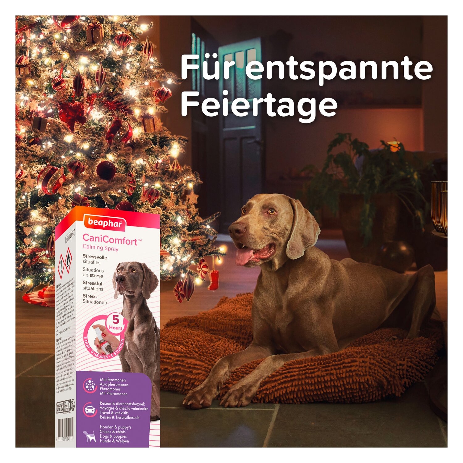 beaphar CaniComfort Wohlfühl-Spray – Ansicht 9