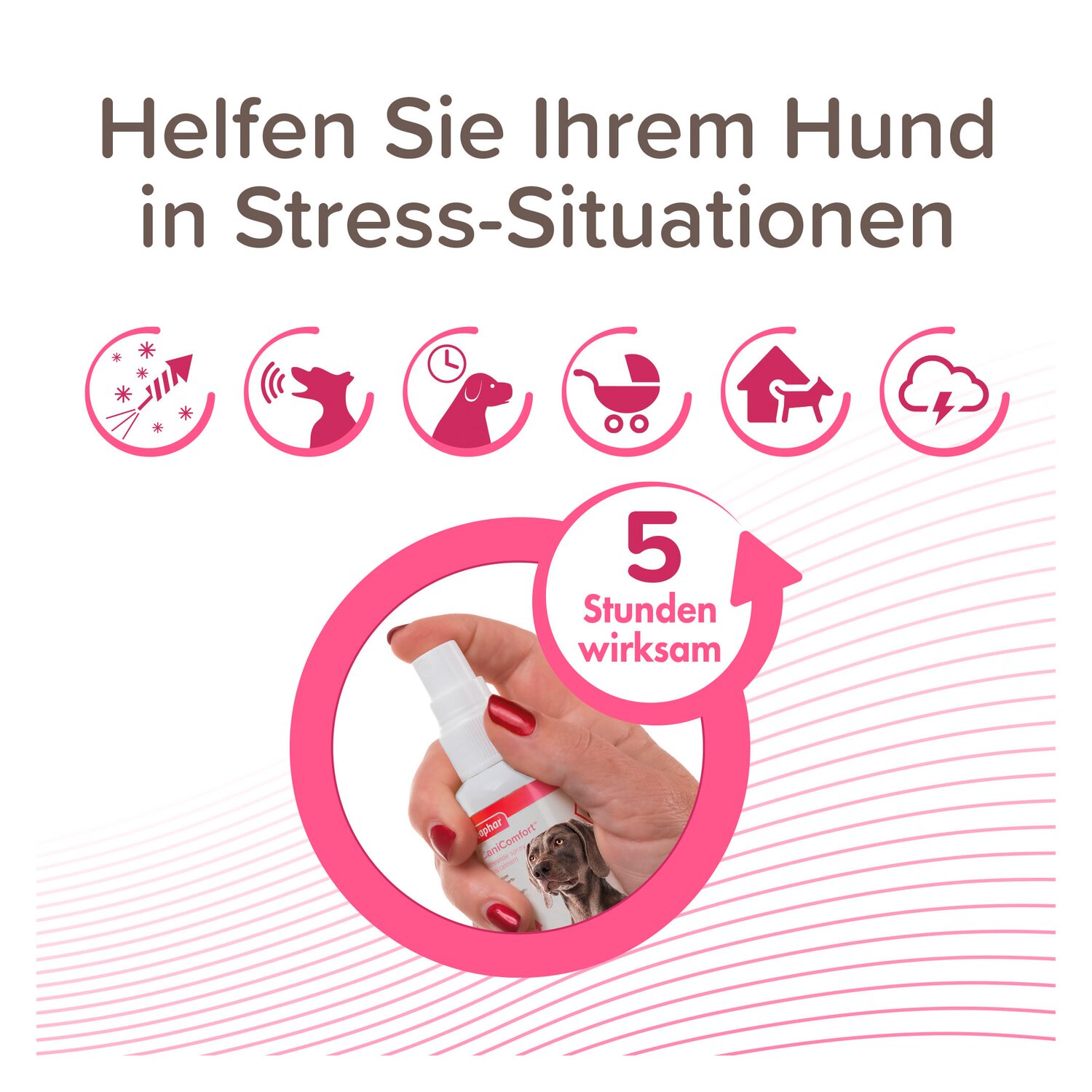 beaphar CaniComfort Wohlfühl-Spray – Ansicht 3