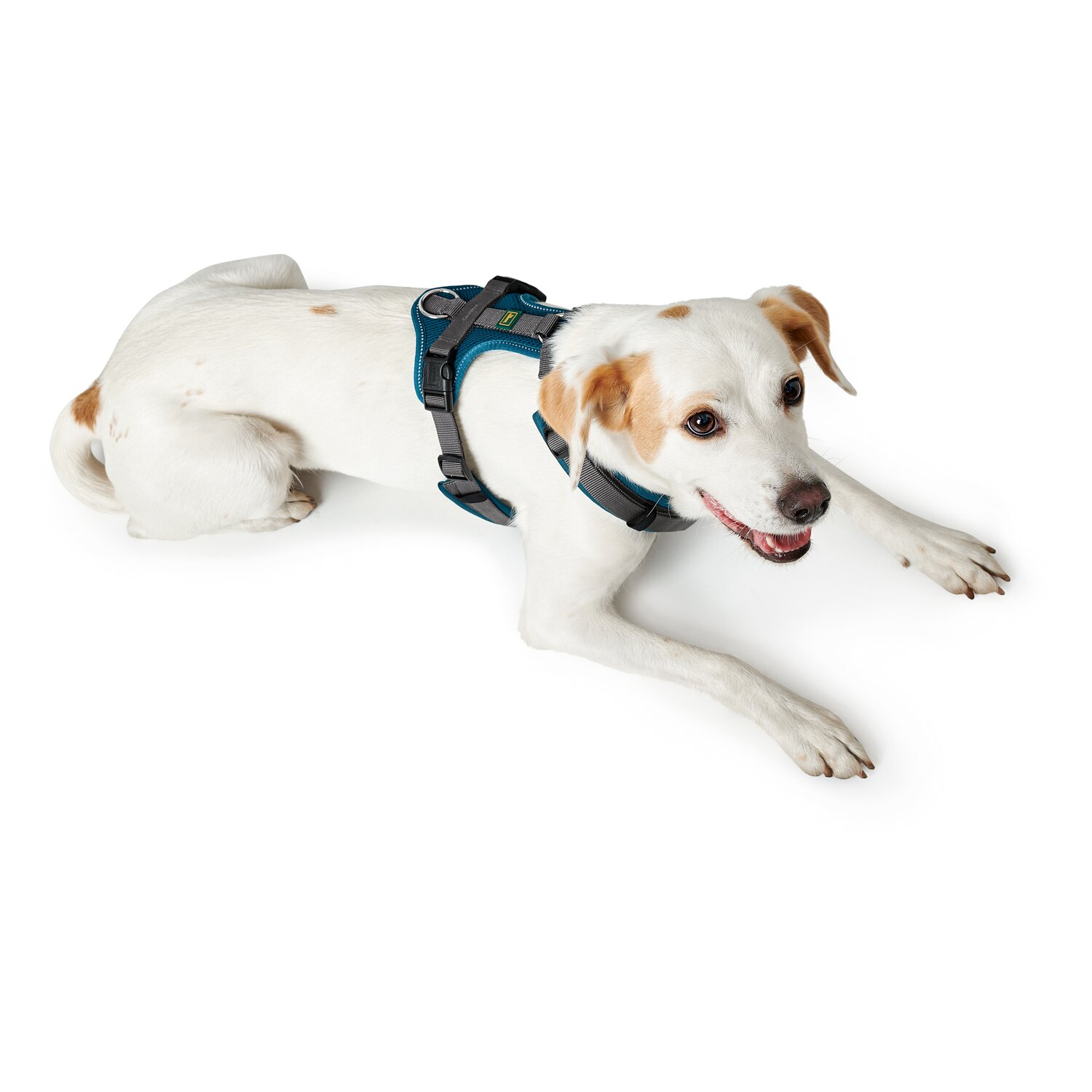 HUNTER Geschirr Maldon – Ansicht 5