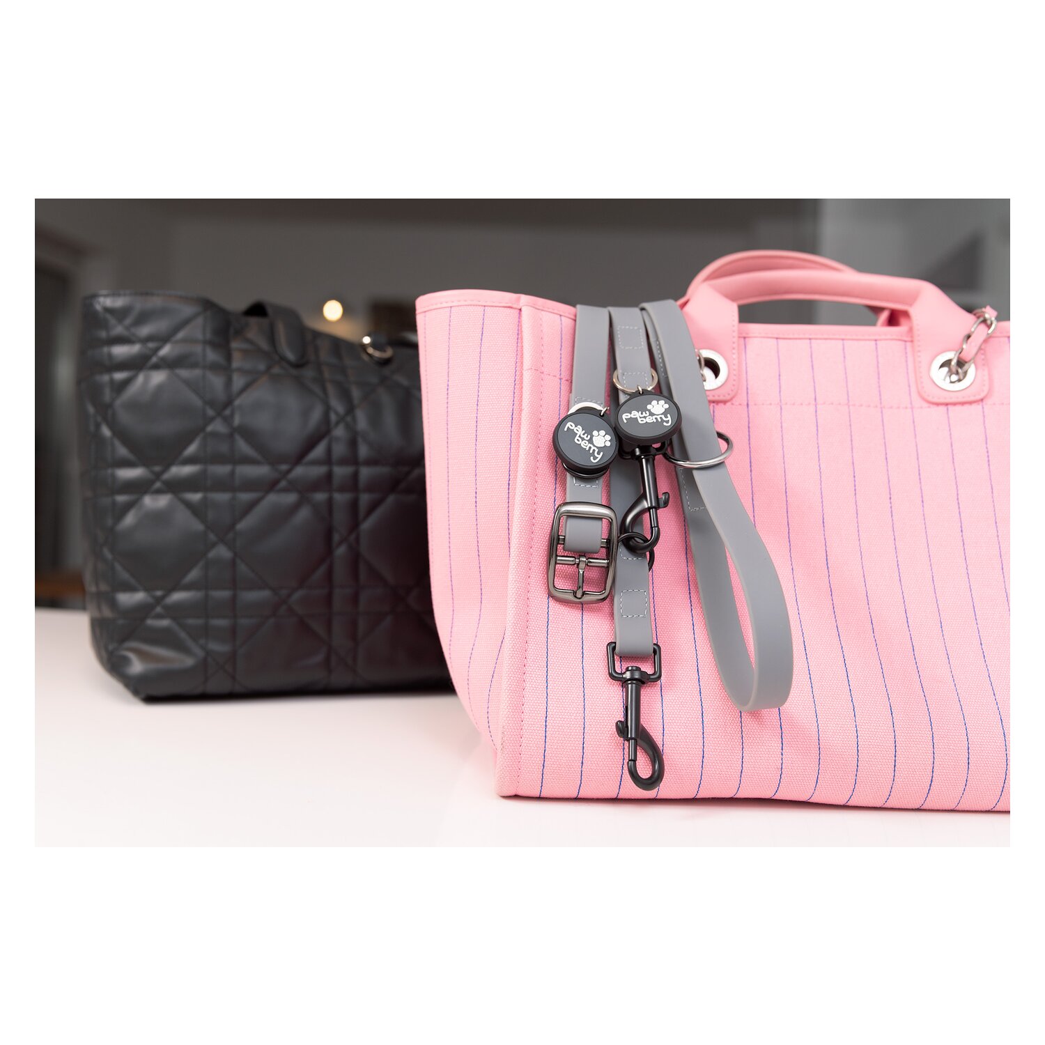 pawberry Hundehalsband Doncaster – Ansicht 3