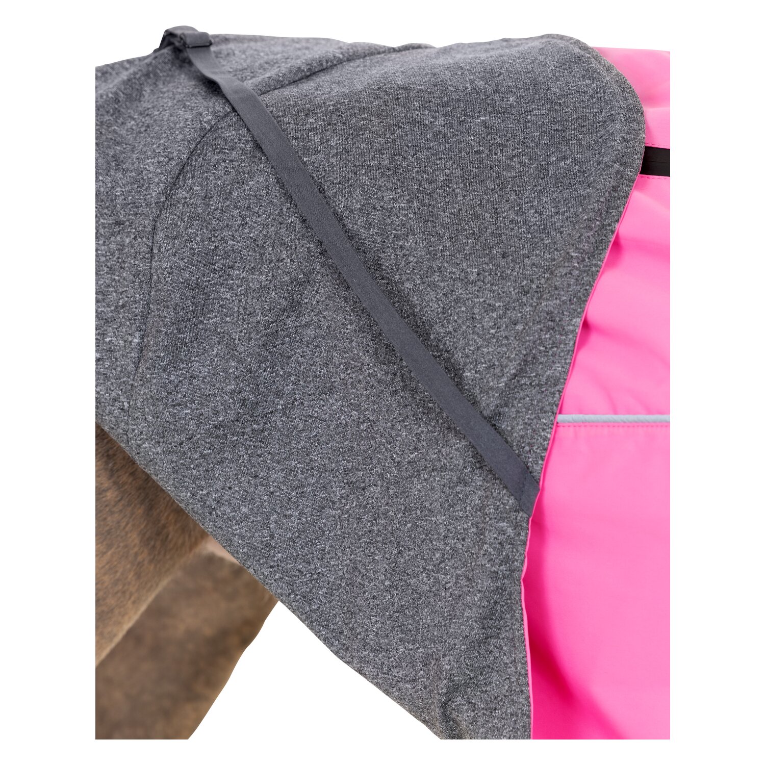 pawberry Hundemantel Rainstormer – Ansicht 4