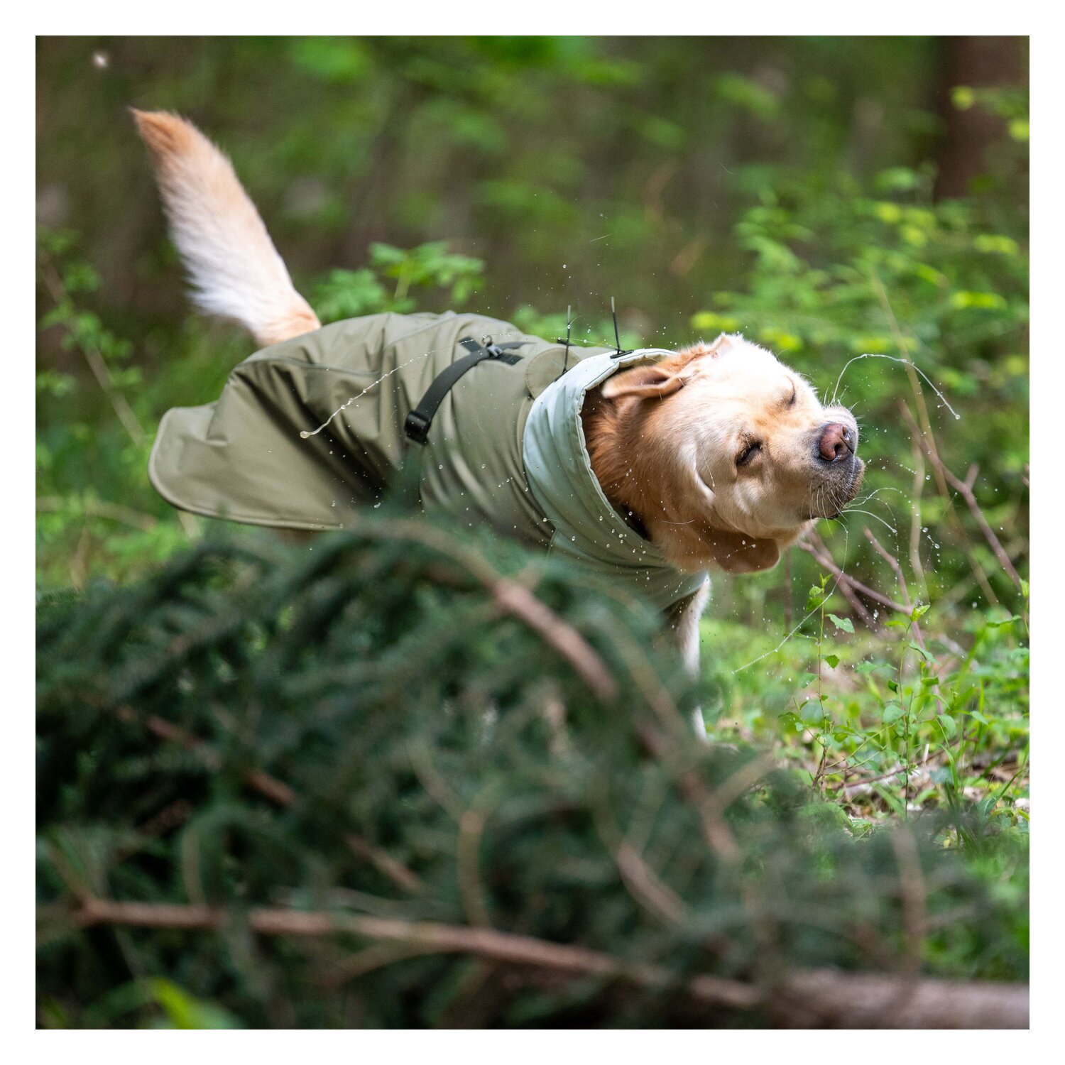 pawberry Hunde-Wintermantel Random – Ansicht 7