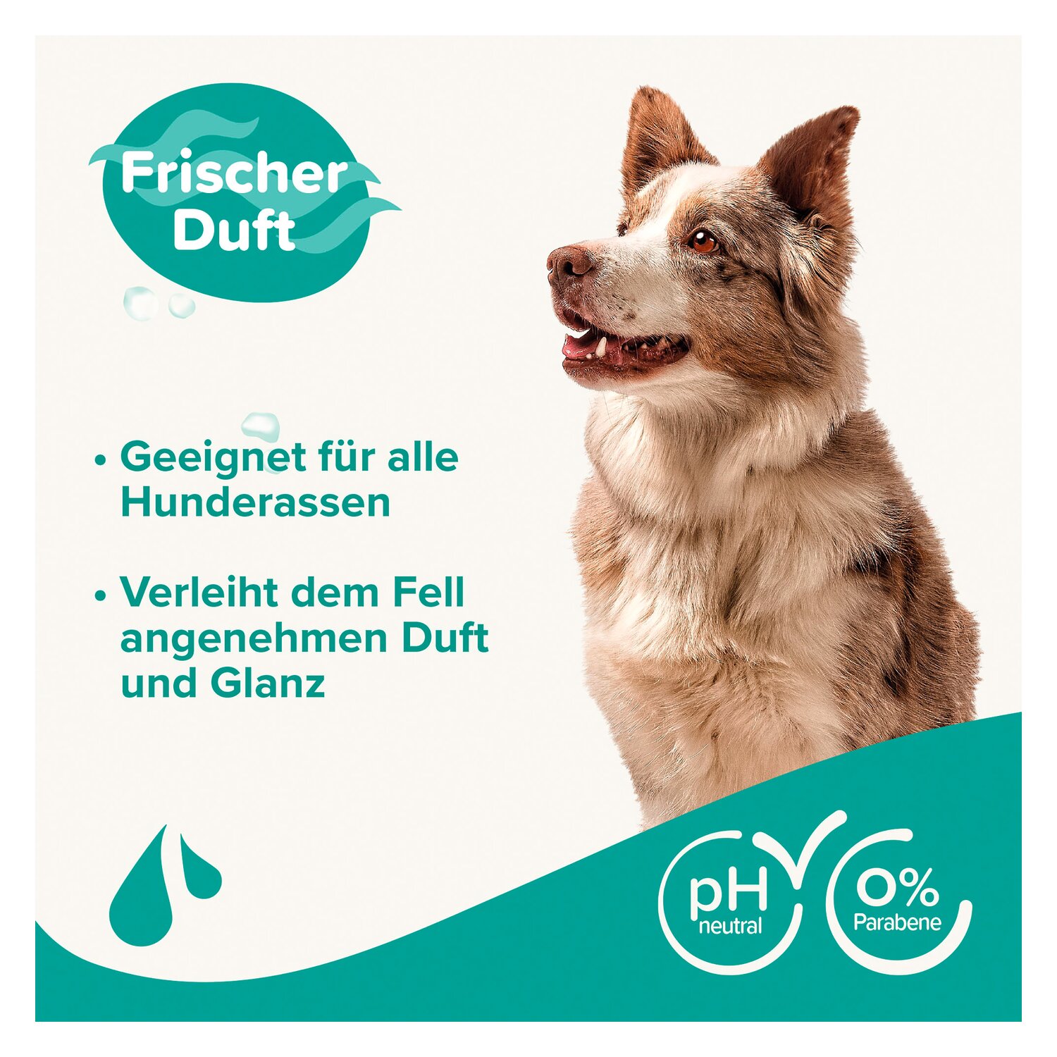 beaphar Hundeshampoo Fell-Glanz – Ansicht 4