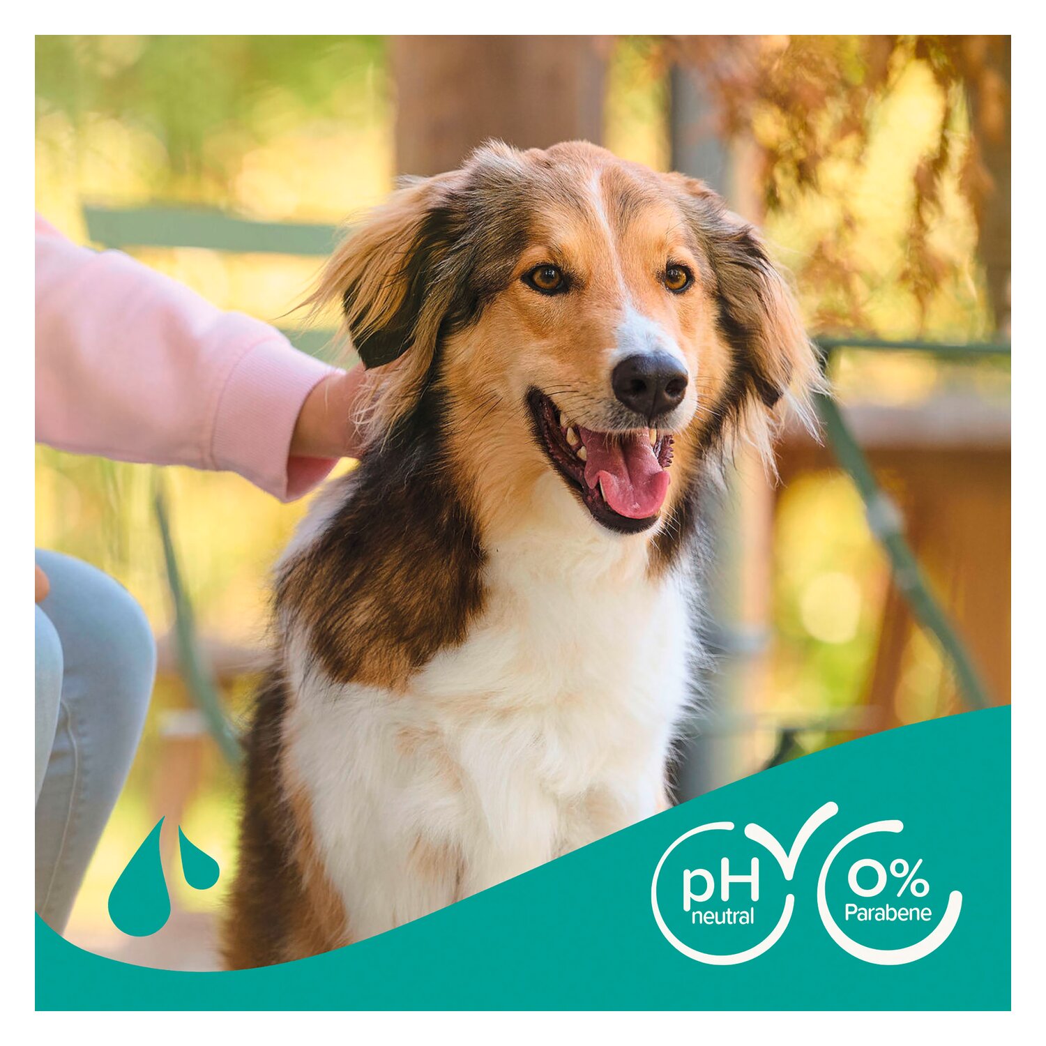 beaphar Hundeshampoo Fell-Glanz – Ansicht 2