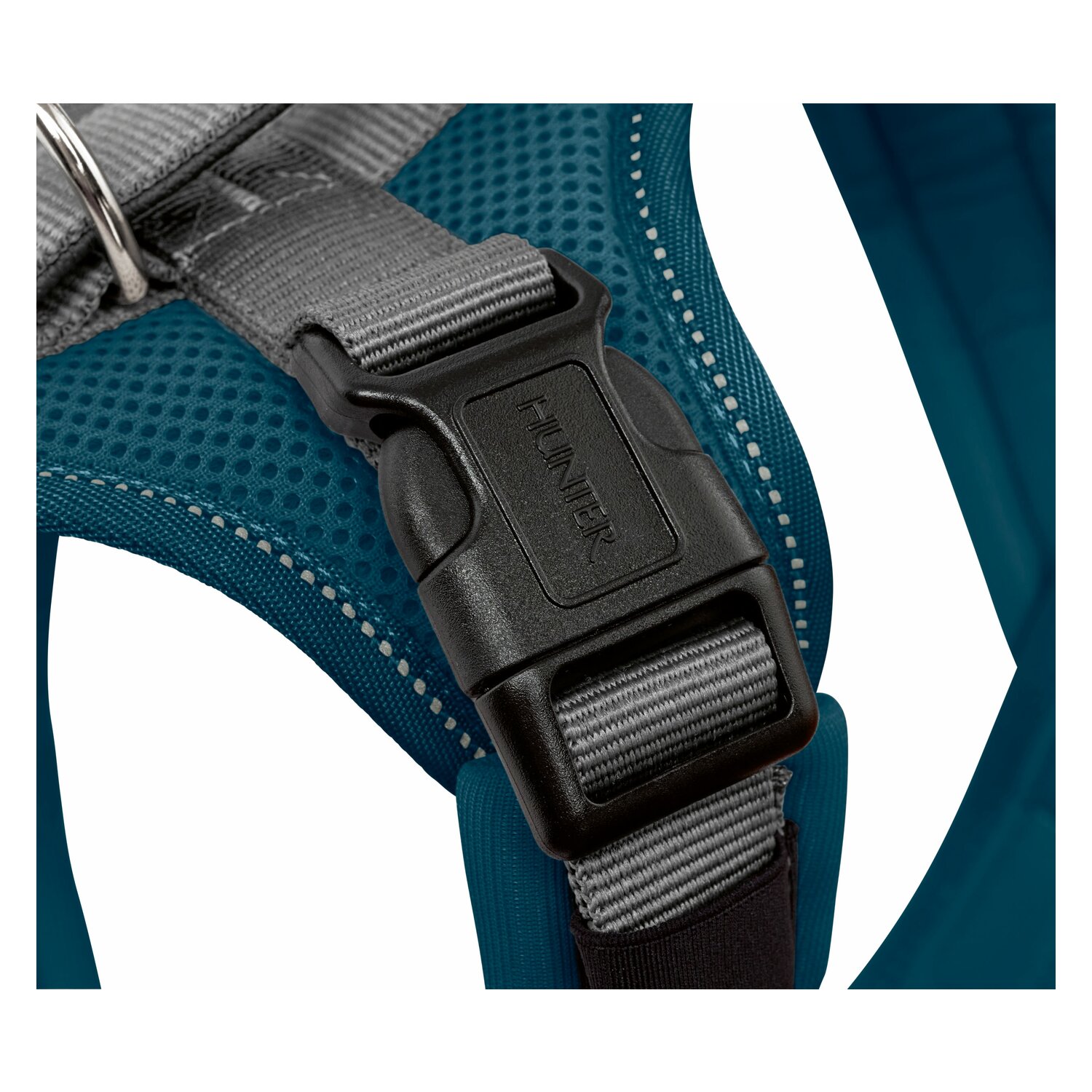 HUNTER Geschirr Maldon UP – Ansicht 4