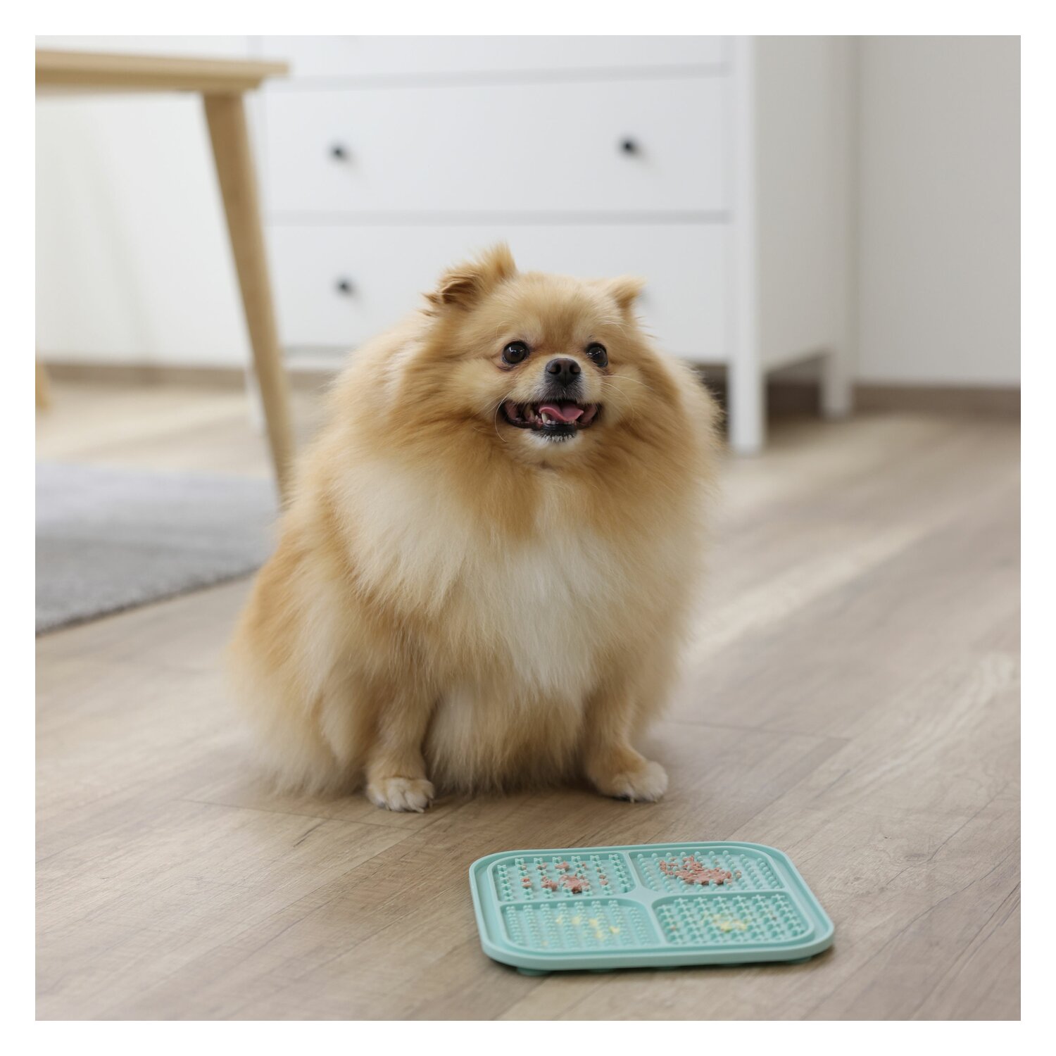 KERBL Schleckmatte – Ansicht 5