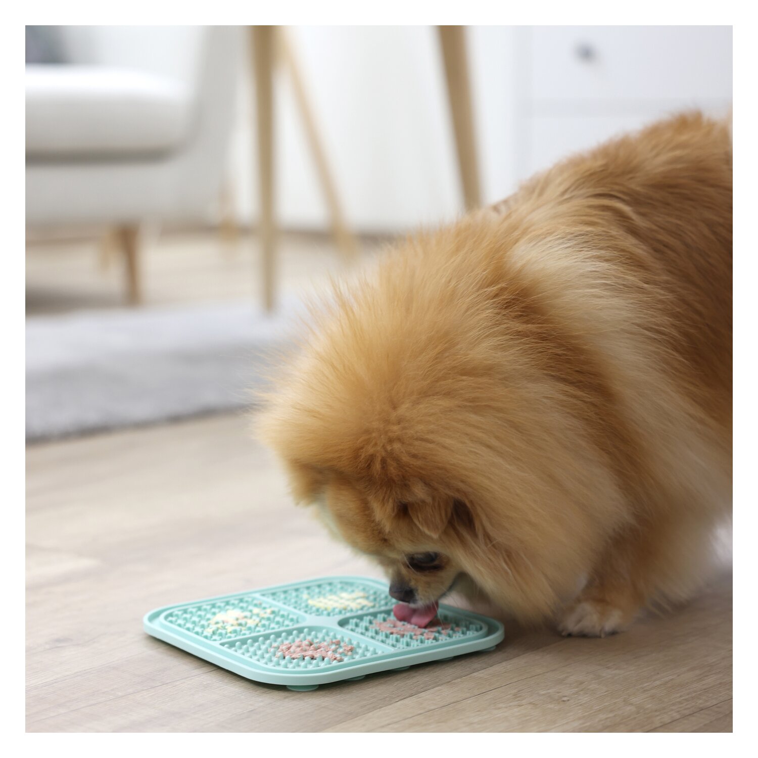 KERBL Schleckmatte – Ansicht 6