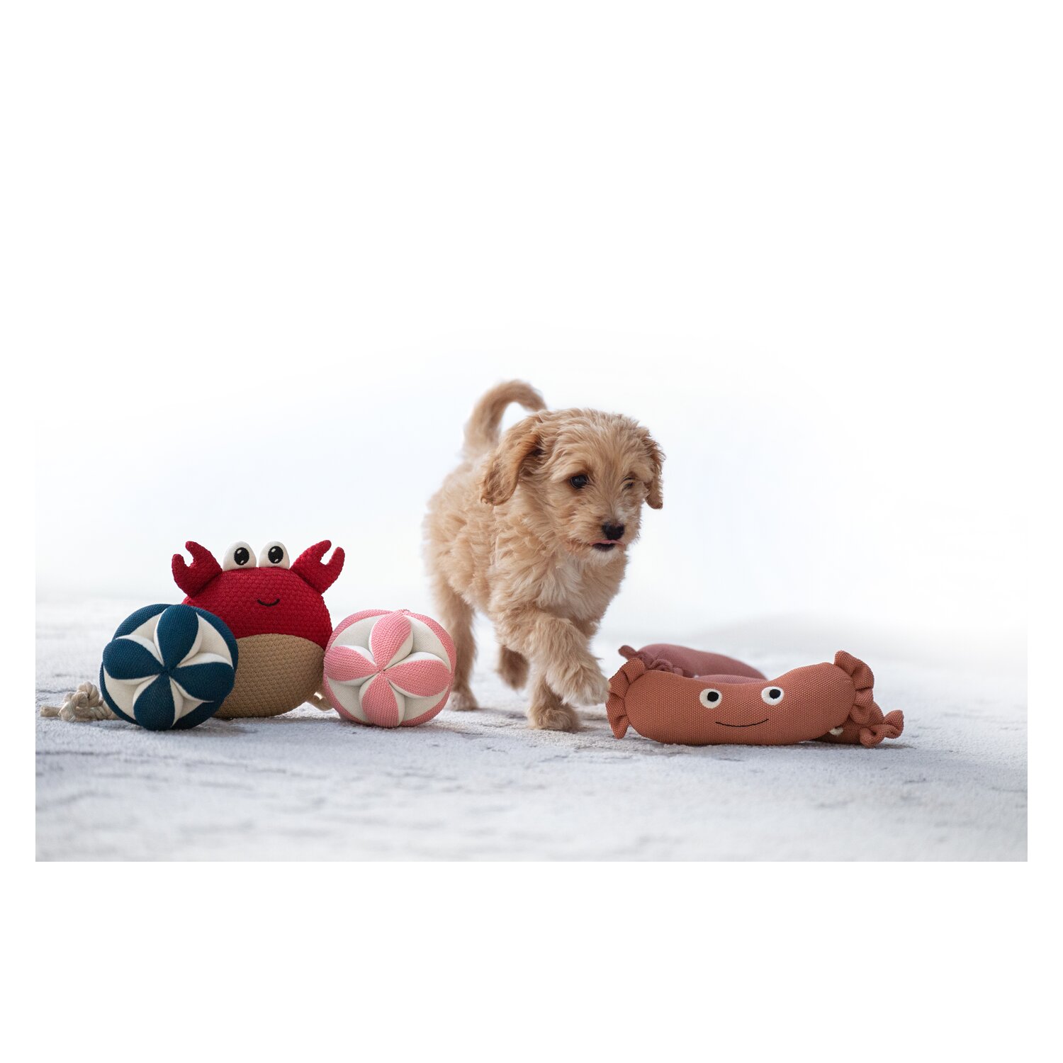 pawberry Hundespielzeug Krebs – Ansicht 3