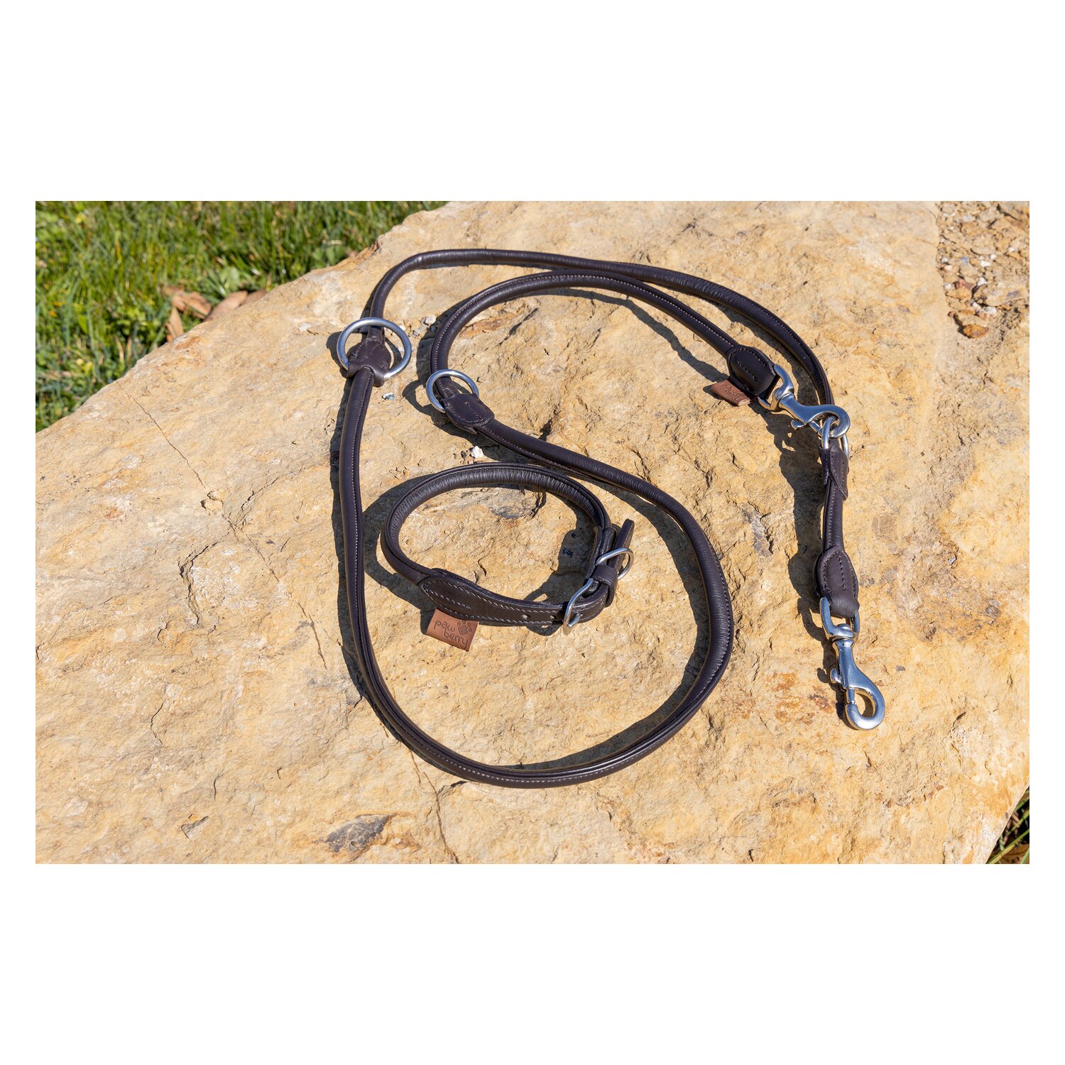 pawberry Hundehalsband Lyon &ndash; Ansicht 2