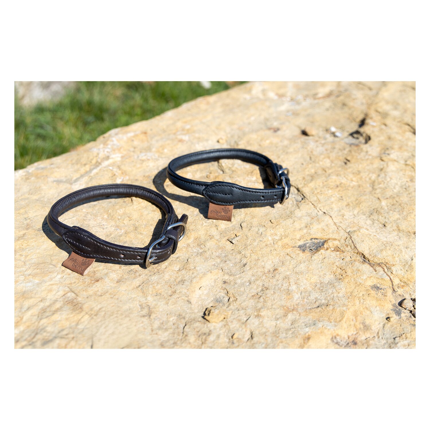 pawberry Hundehalsband Lyon &ndash; Ansicht 3