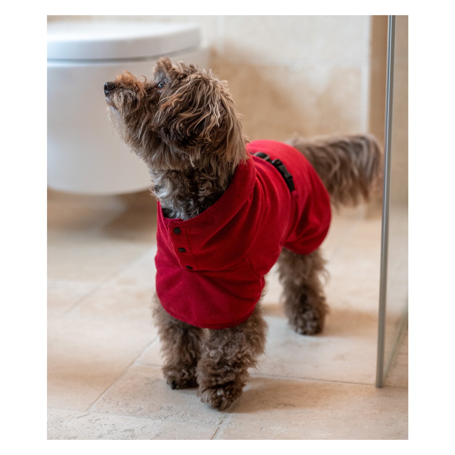 pawberry Hundebademantel London – Ansicht 6