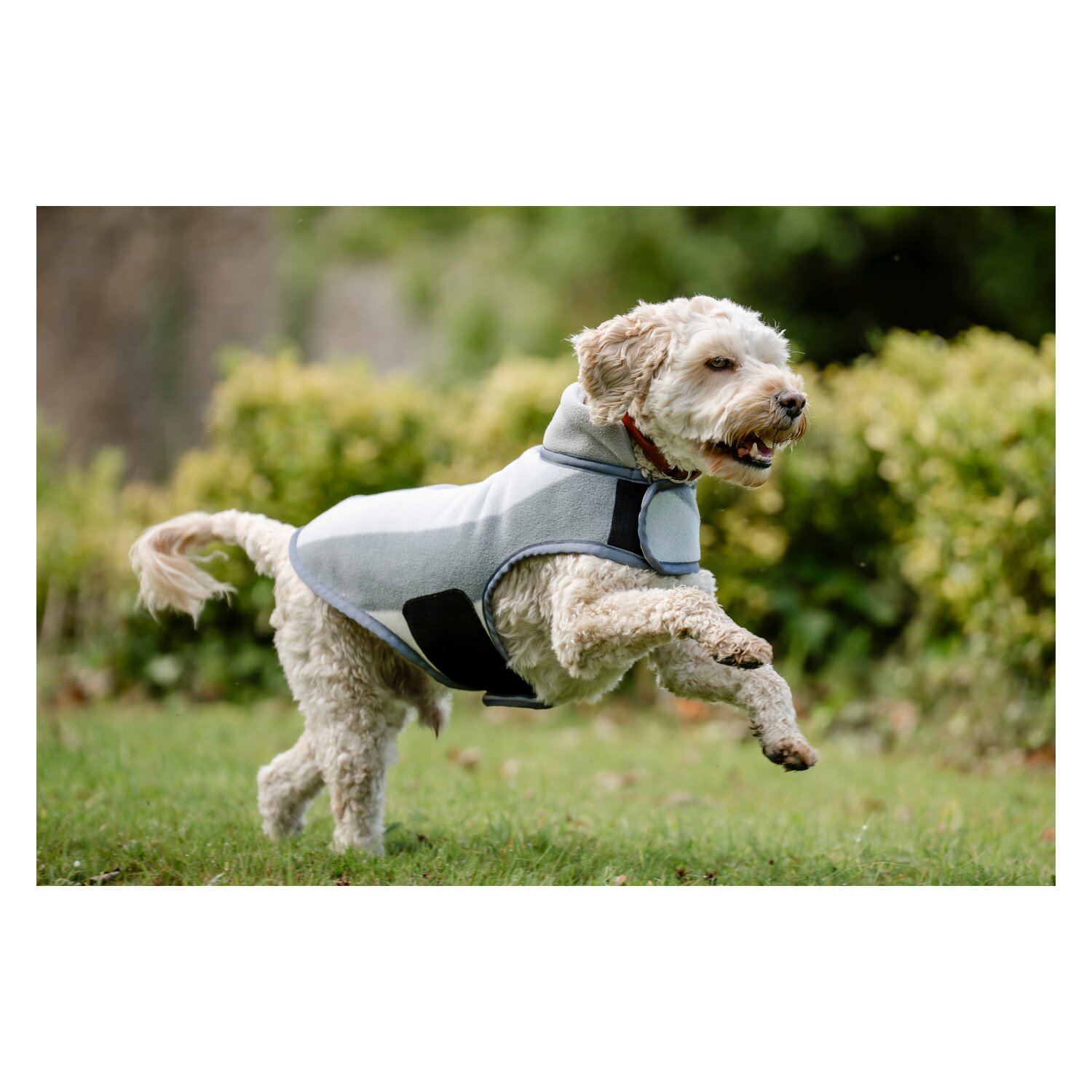 HORSEWARE Hundemantel Newmarket Dog Fleece – Ansicht 2