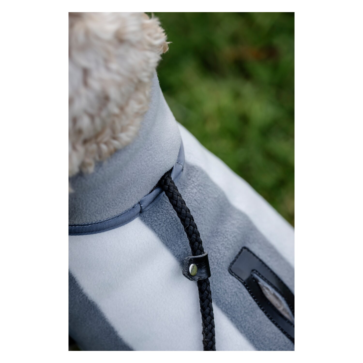 HORSEWARE Hundemantel Newmarket Dog Fleece – Ansicht 4
