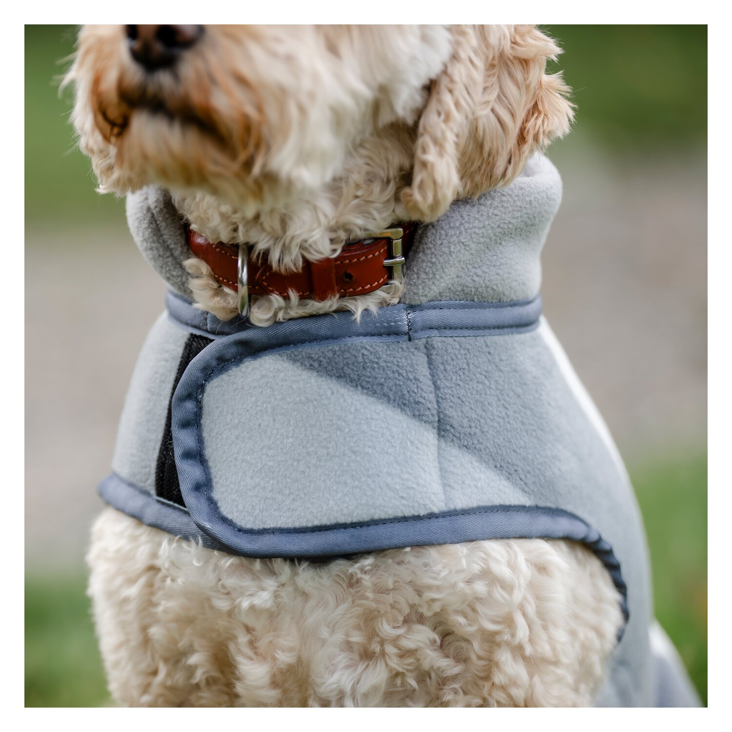 HORSEWARE Hundemantel Newmarket Dog Fleece – Ansicht 5