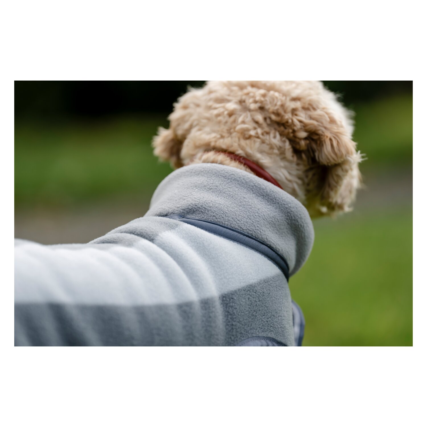 HORSEWARE Hundemantel Newmarket Dog Fleece – Ansicht 3