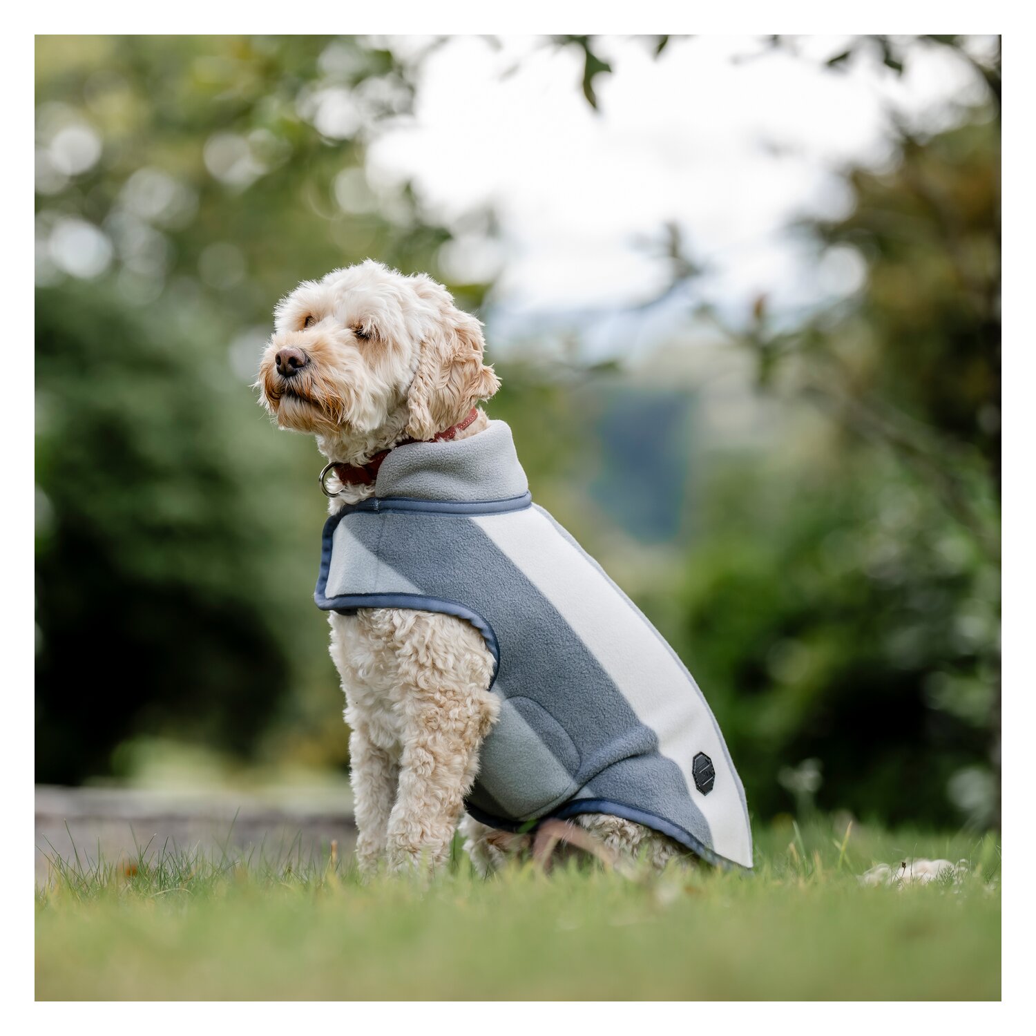 HORSEWARE Hundemantel Newmarket Dog Fleece – Ansicht 1