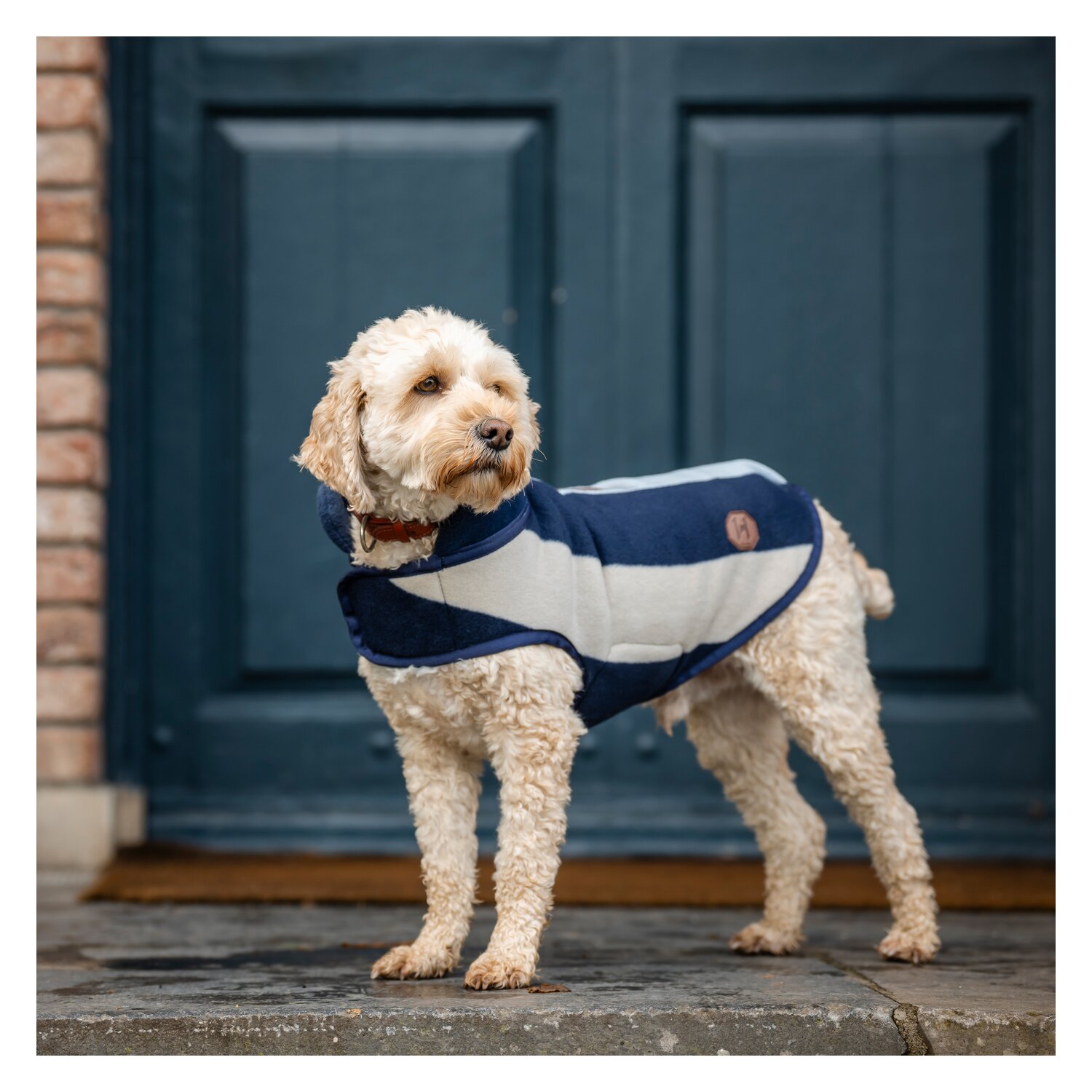 HORSEWARE Hundemantel Newmarket Dog Fleece – Ansicht 1