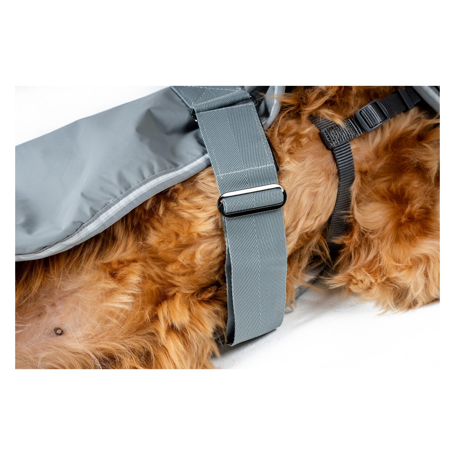 HORSEWARE Hundemantel Newmarket Dog Coat – Ansicht 5