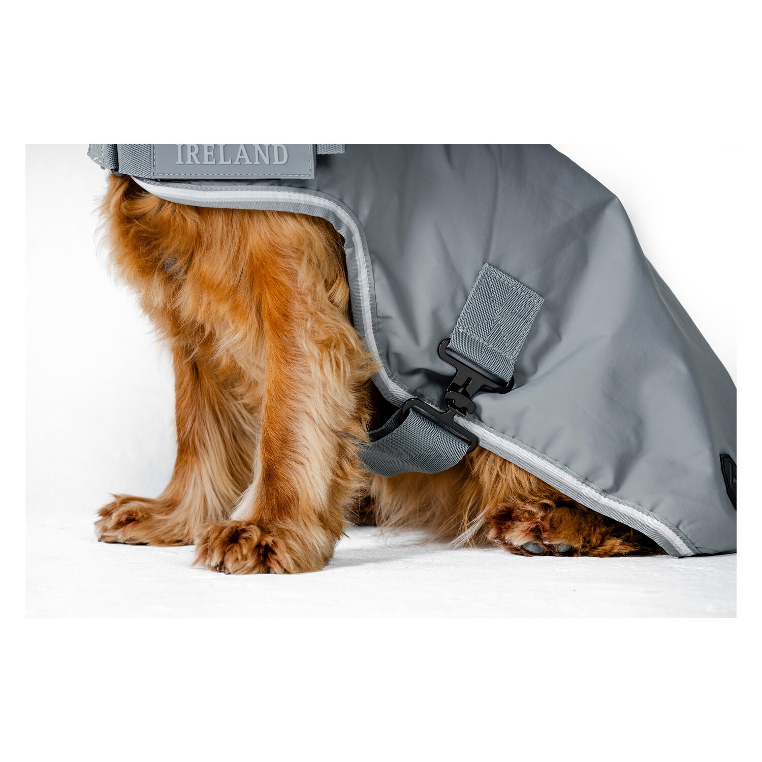 HORSEWARE Hundemantel Newmarket Dog Coat – Ansicht 4