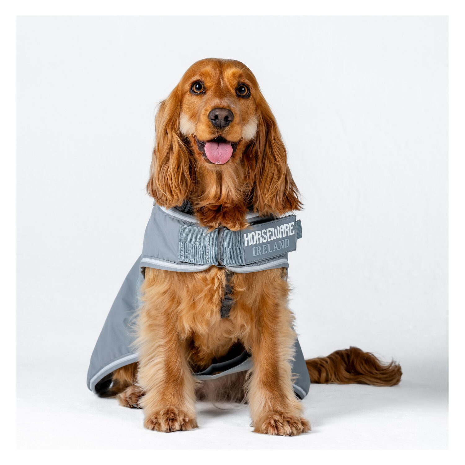 HORSEWARE Hundemantel Newmarket Dog Coat – Ansicht 1
