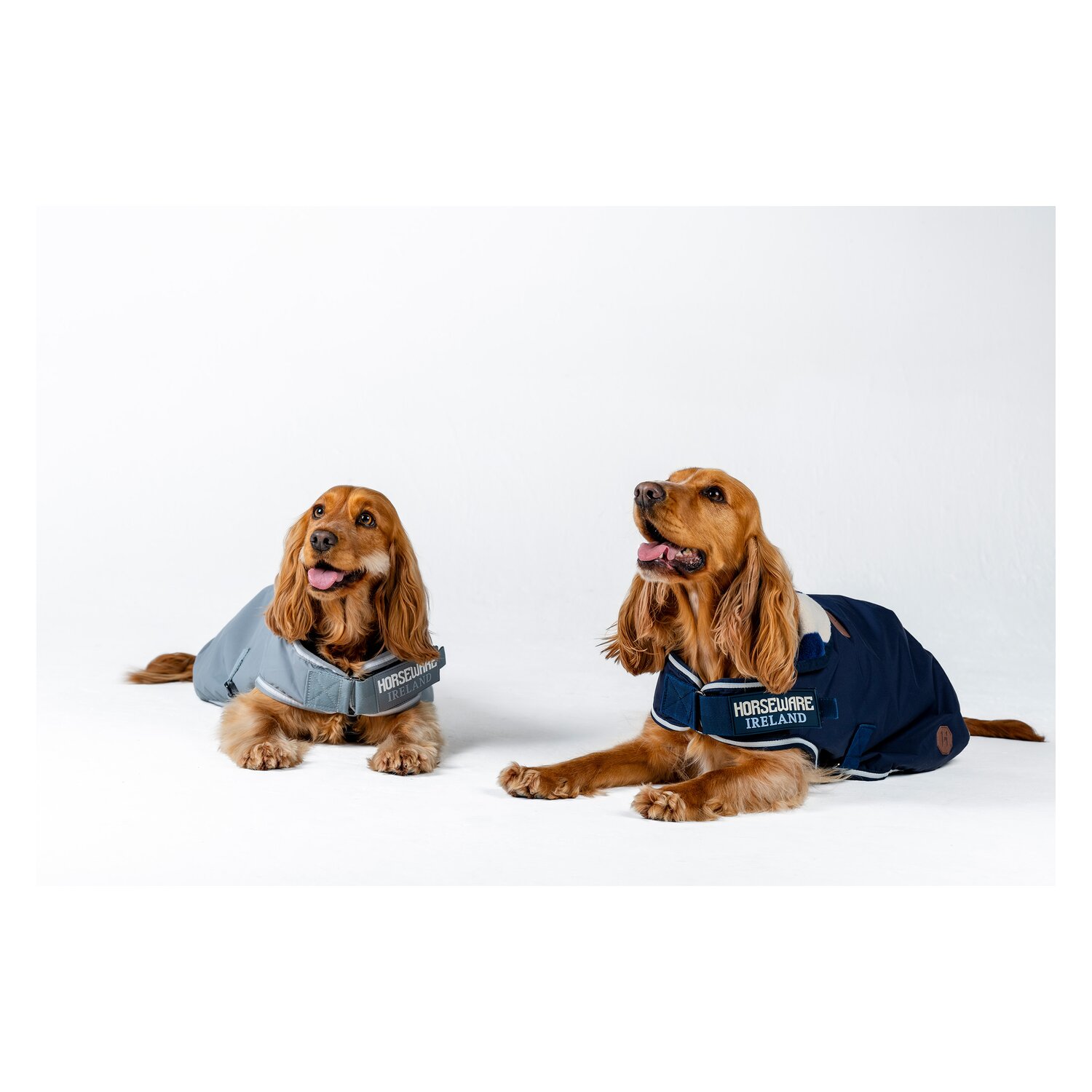 HORSEWARE Hundemantel Newmarket Dog Coat – Ansicht 6