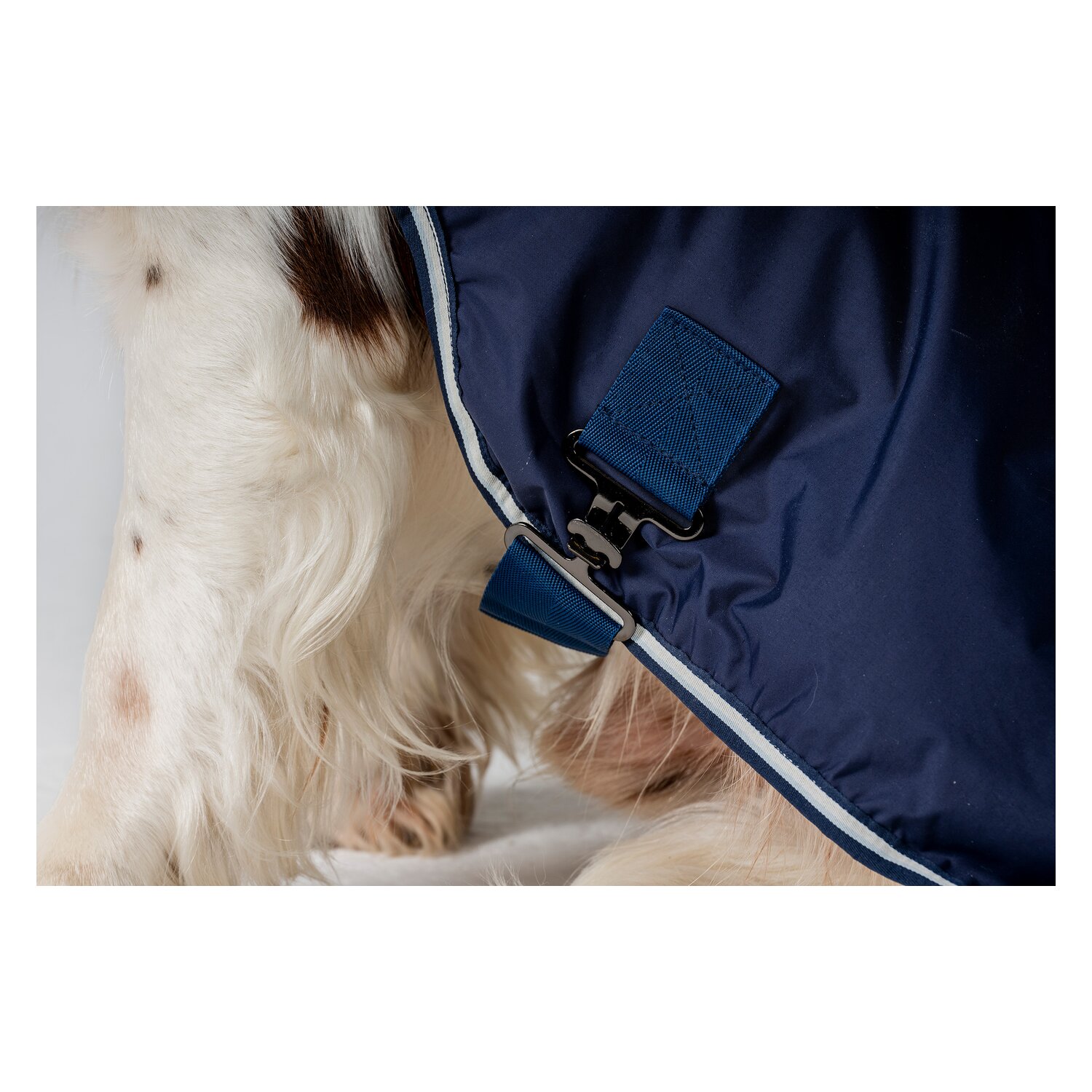 HORSEWARE Hundemantel Newmarket Dog Coat – Ansicht 4