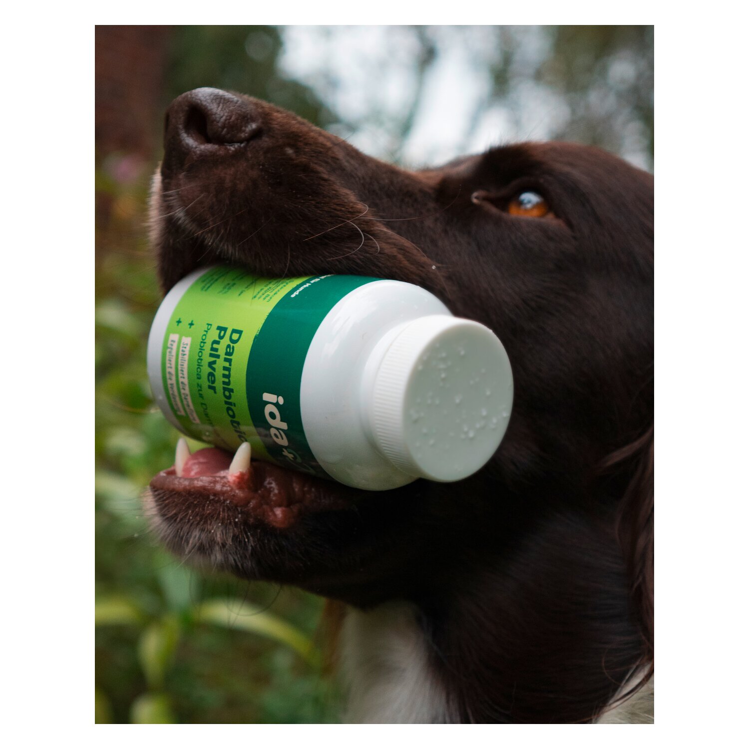 ida+plus Darmbiotic Pulver – Ansicht 5