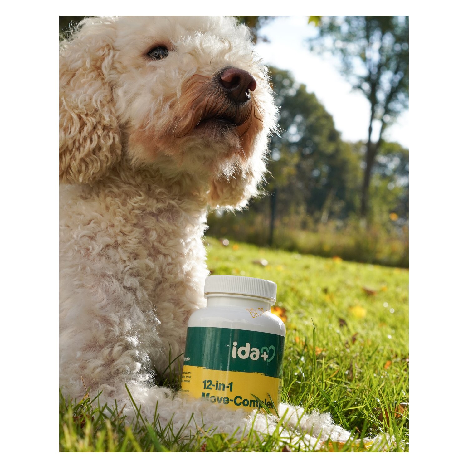 ida+plus 12-in-1 Move-Complex – Ansicht 4