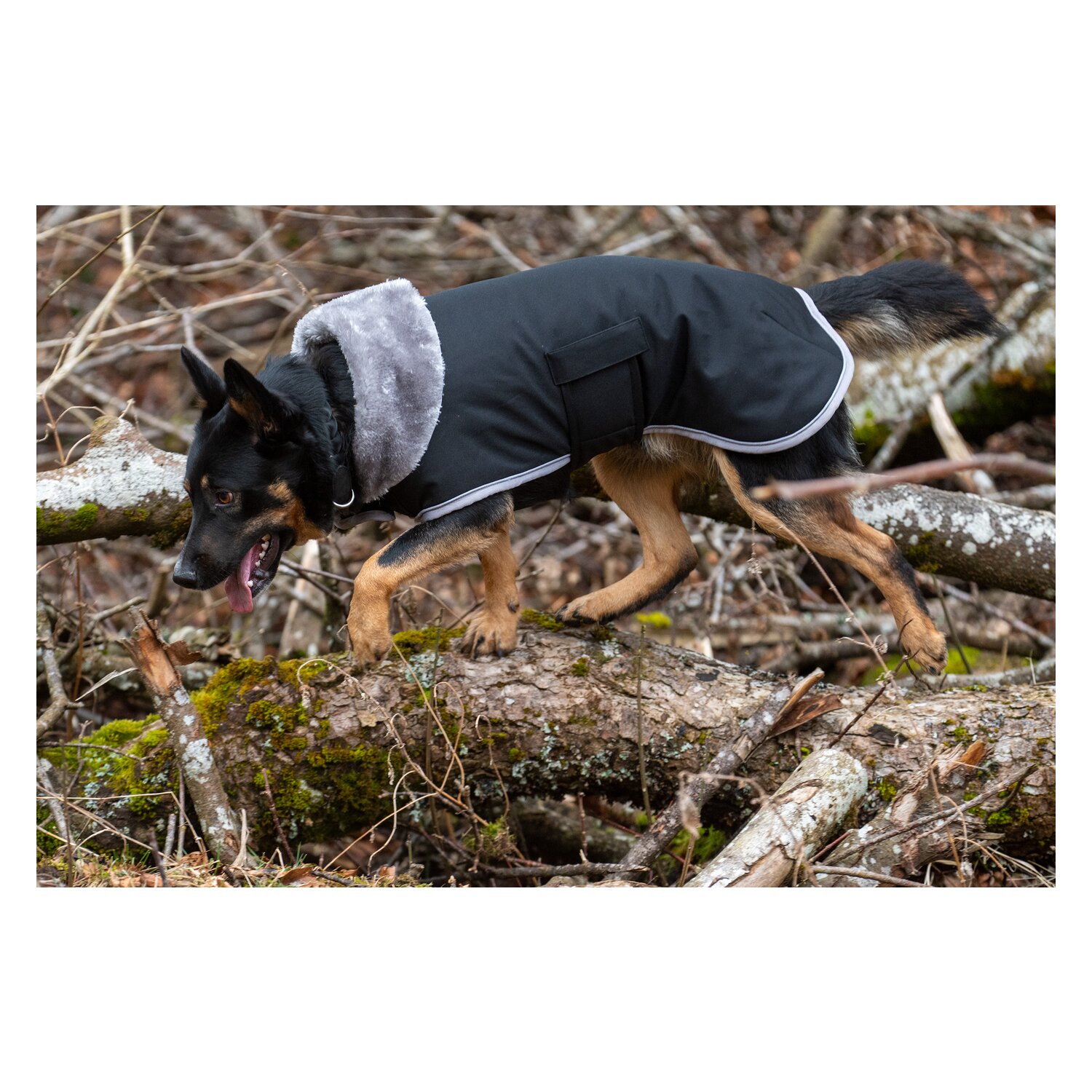 pawberry Hunde-Wintermantel Stockholm – Ansicht 1