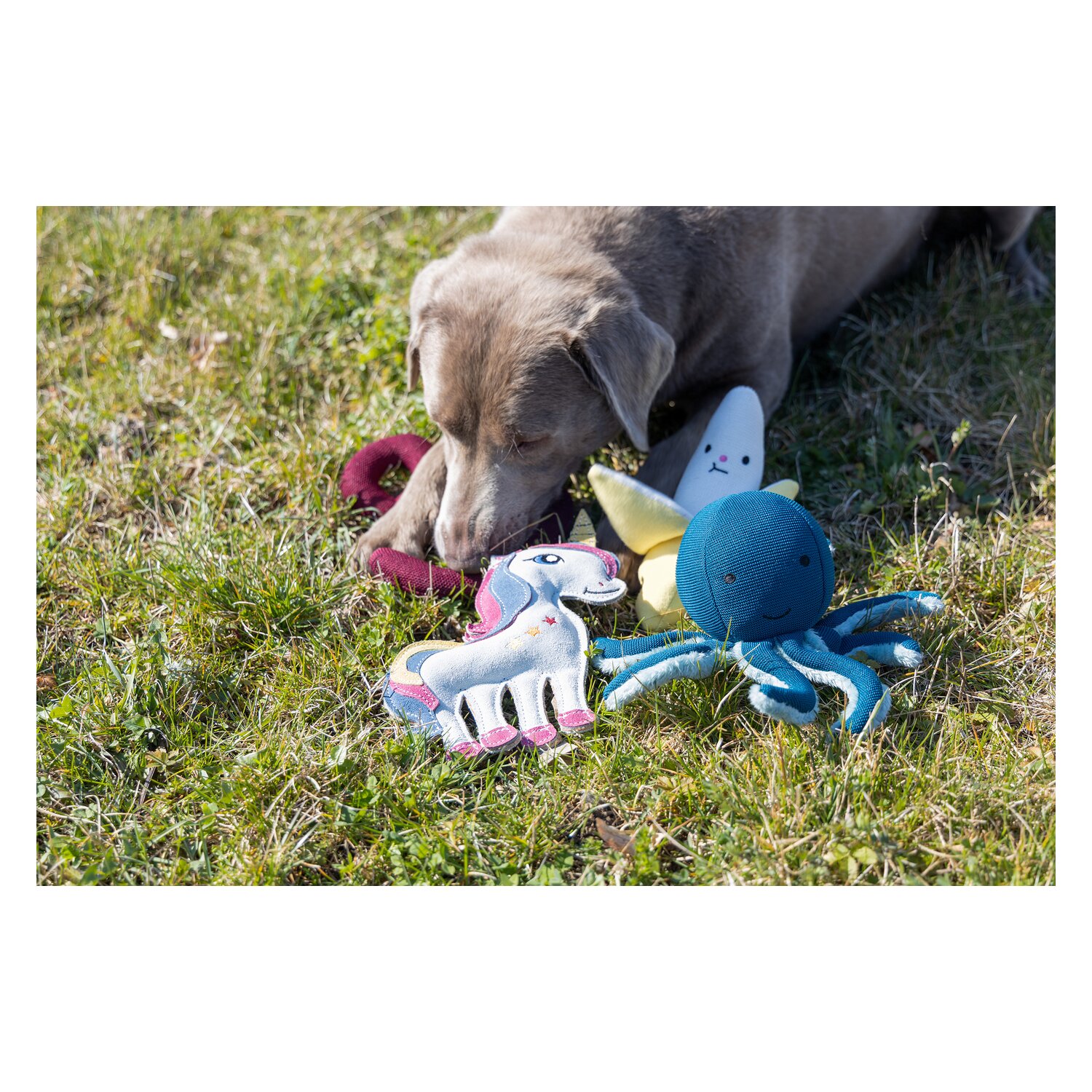 pawberry Hundespielzeug Banane &ndash; Ansicht 4