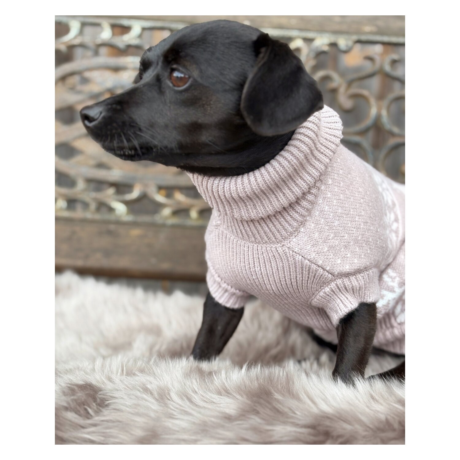 pawberry Hundepullover Helsinki – Ansicht 3