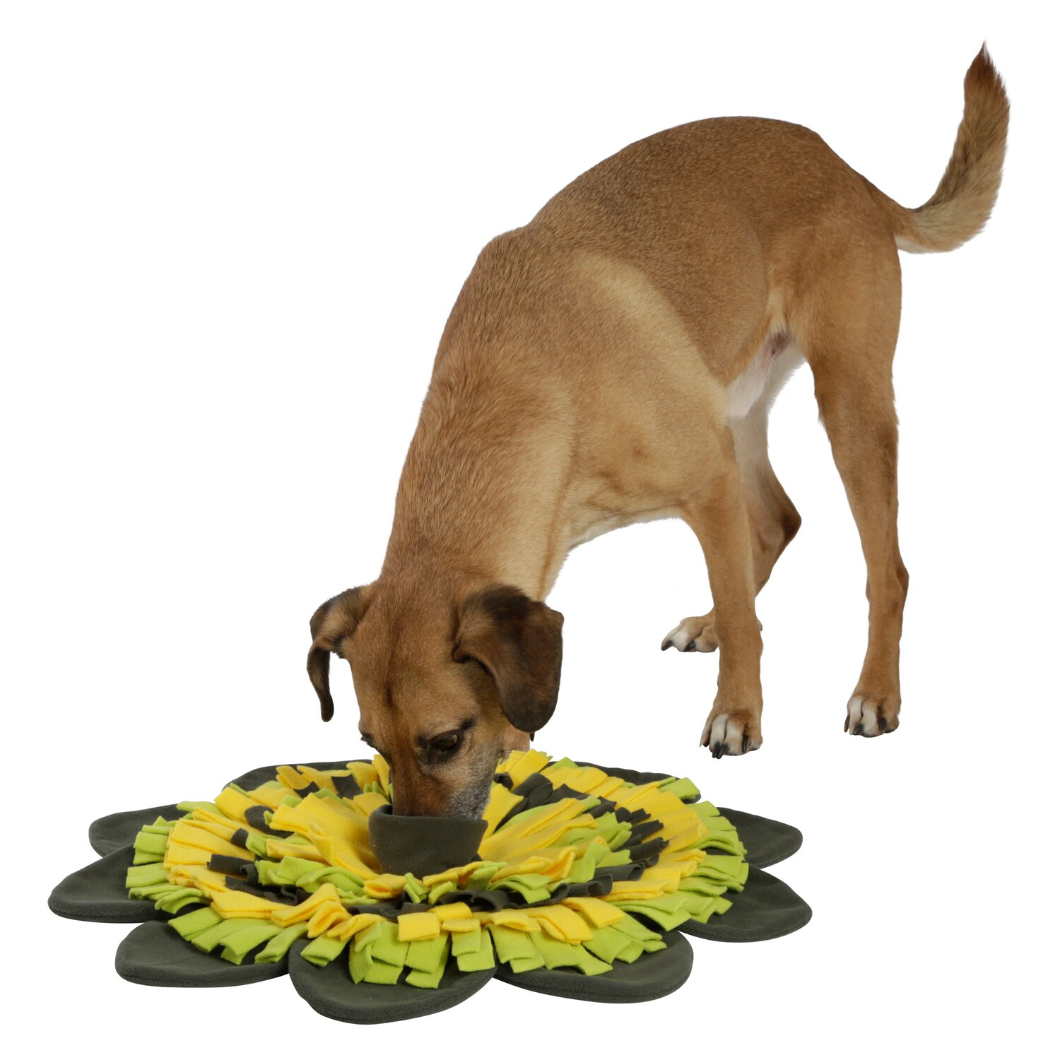 KERBL Schnüffelteppich Sunflower – Ansicht 2