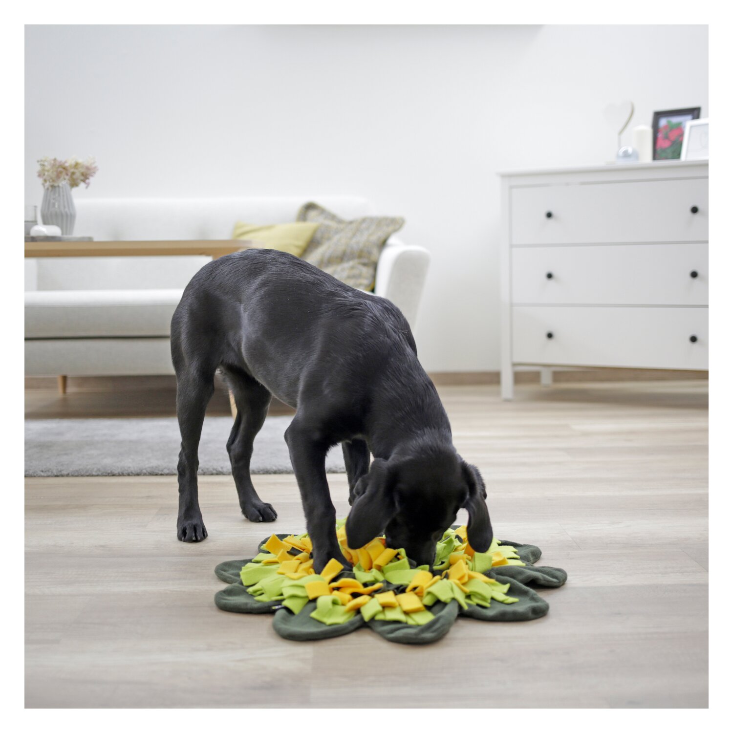 KERBL Schnüffelteppich Sunflower – Ansicht 3