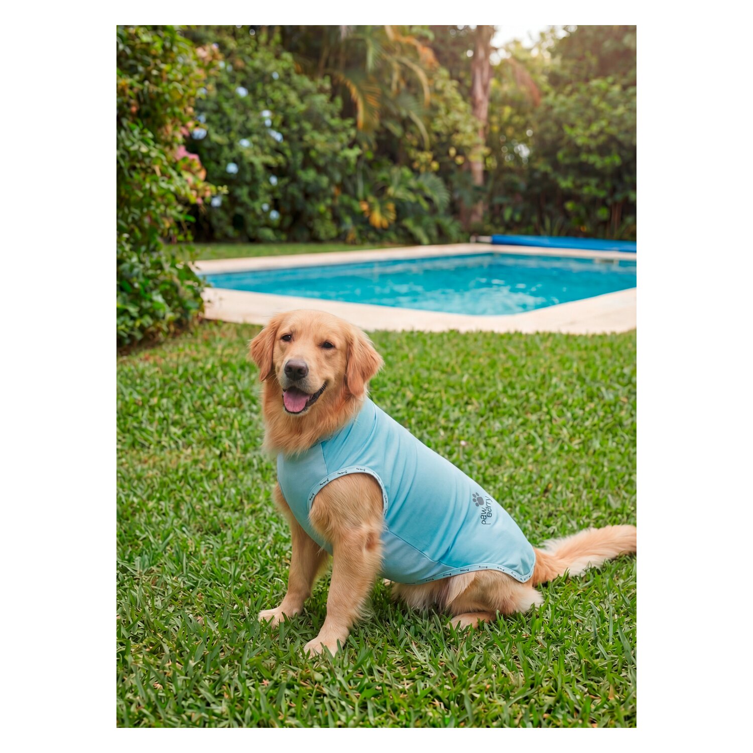 pawberry Hunde-Kühlweste Porto &ndash; Ansicht 2