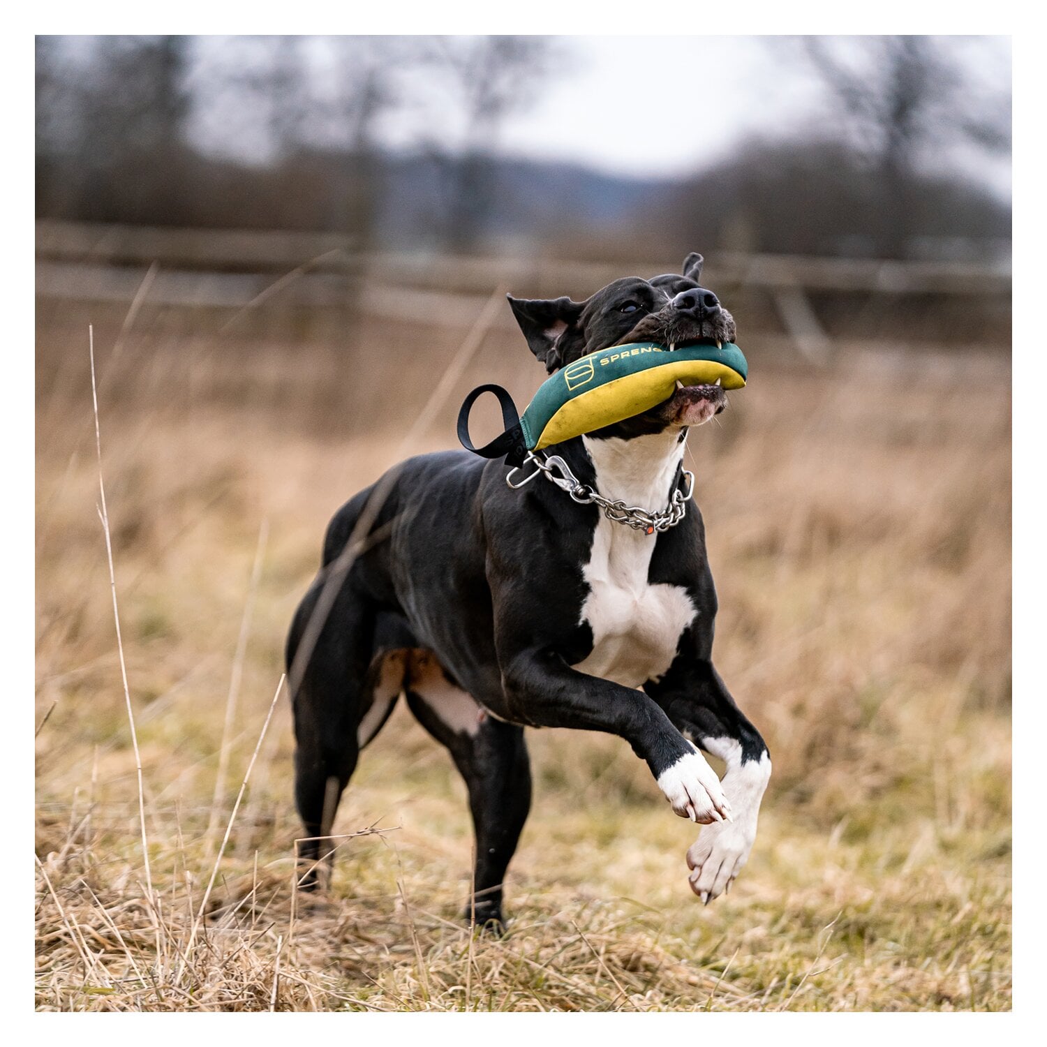 SPRENGER Hundespielzeug Soft Bringsel M &ndash; Ansicht 5