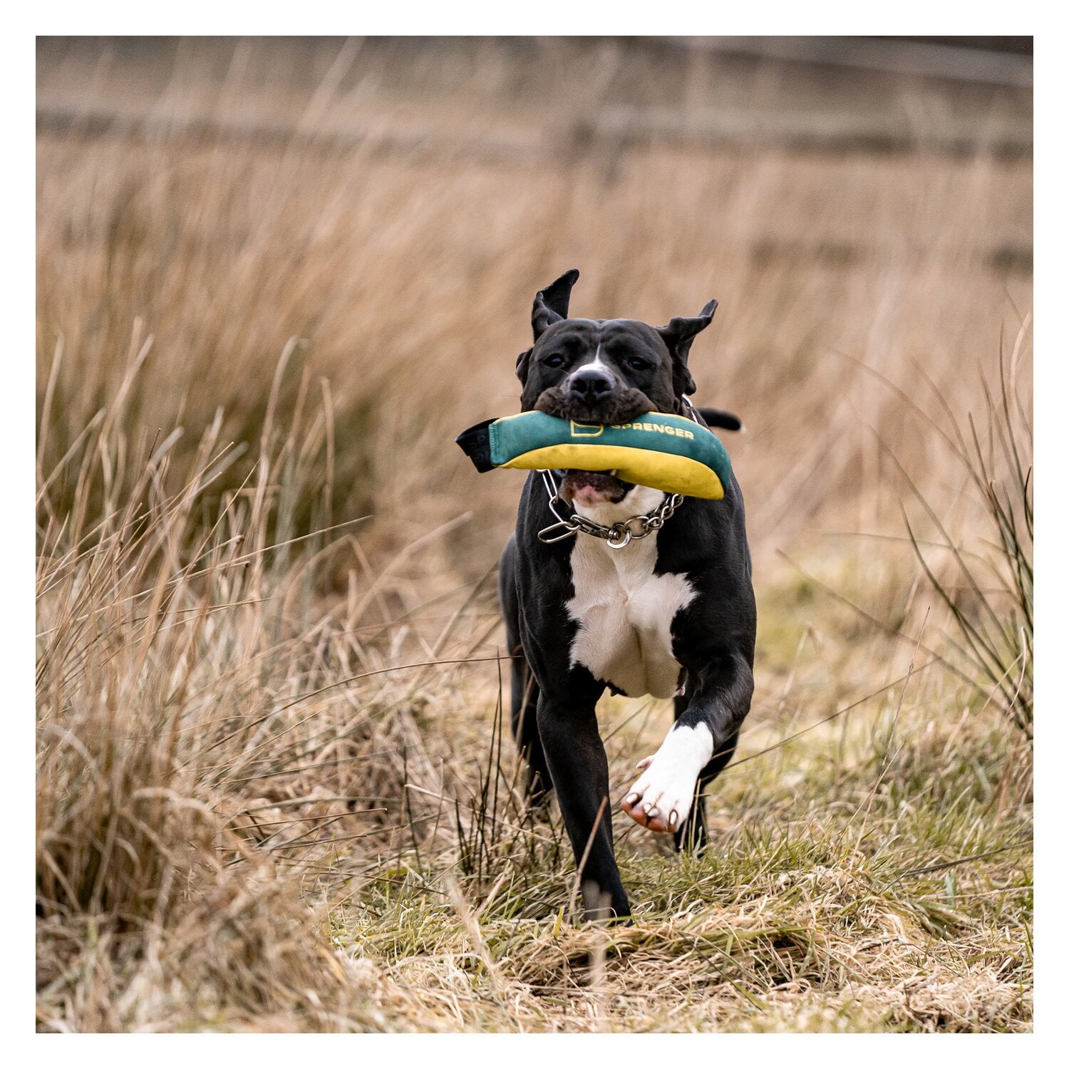 SPRENGER Hundespielzeug Soft Bringsel M &ndash; Ansicht 6