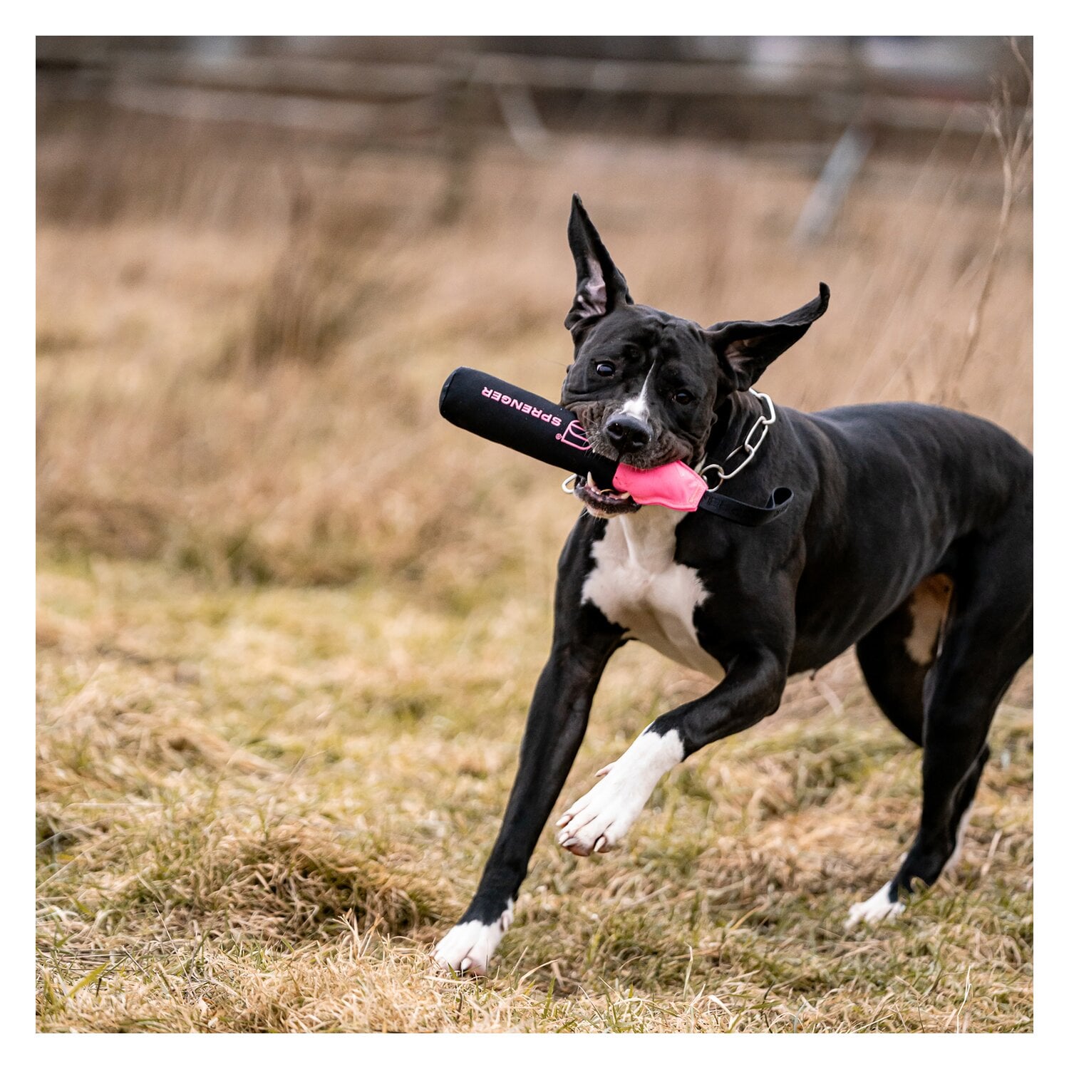 SPRENGER Hundespielzeug Dummy &ndash; Ansicht 5