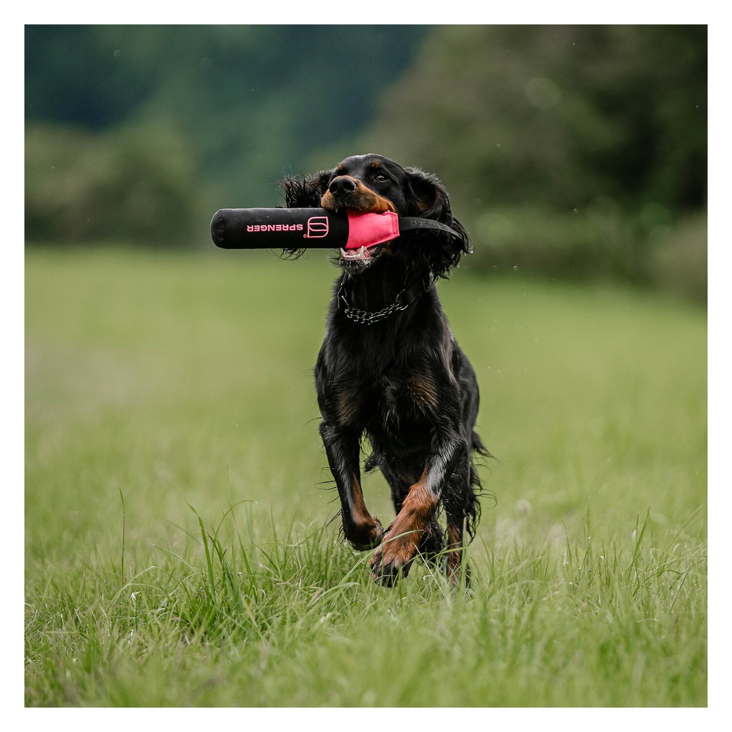 SPRENGER Hundespielzeug Dummy &ndash; Ansicht 6