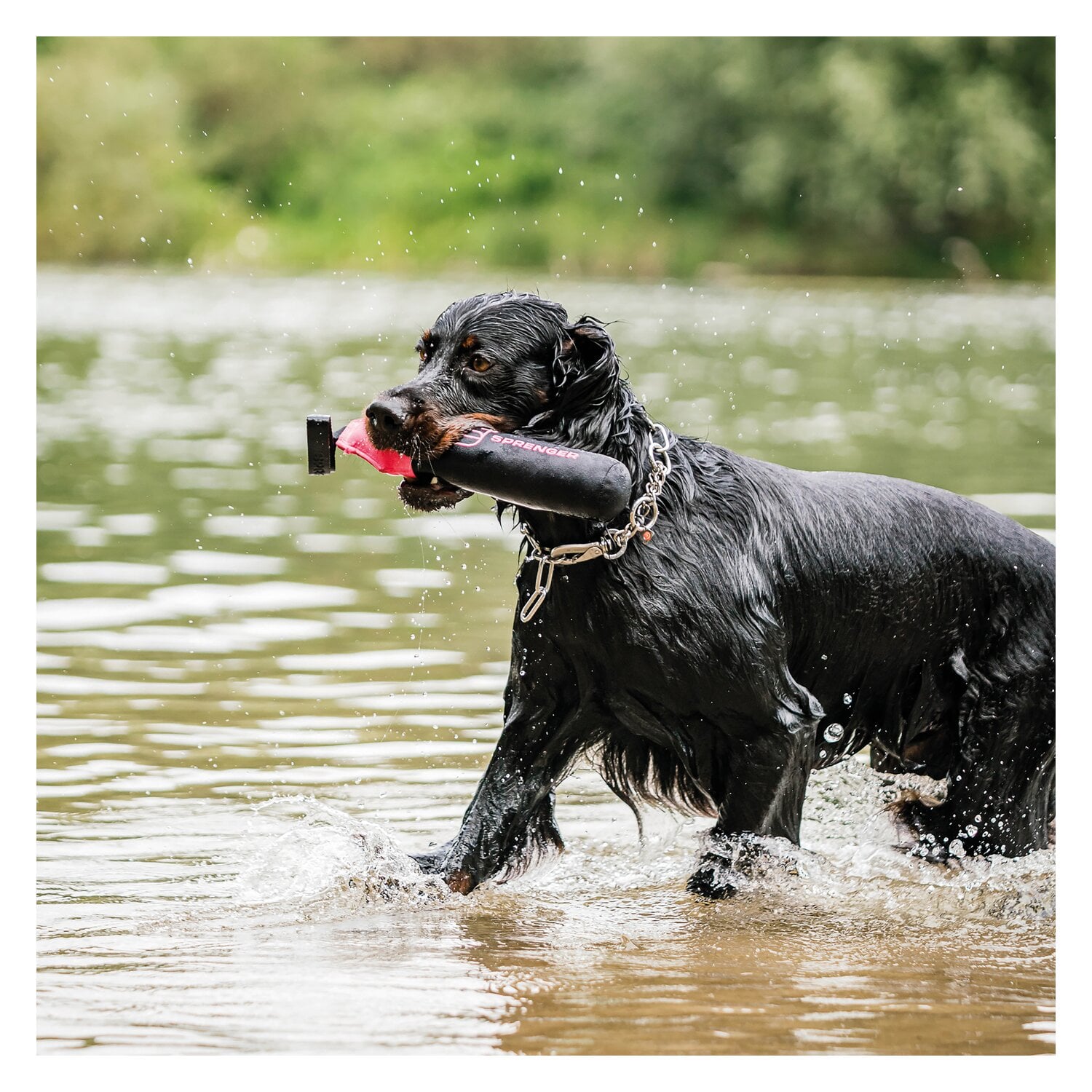 SPRENGER Hundespielzeug Dummy &ndash; Ansicht 8