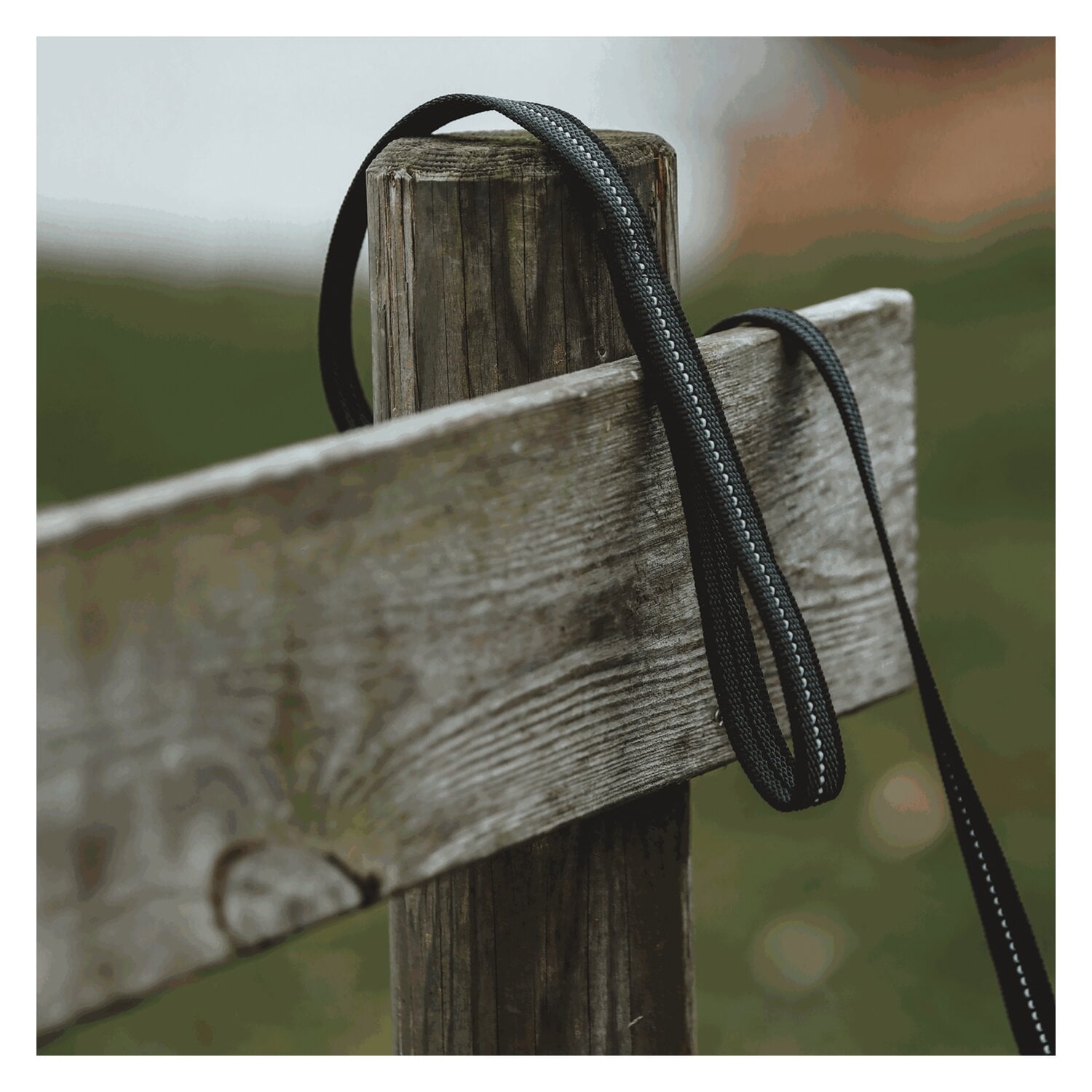 SPRENGER Gummierte Hundeleine mit Handschlaufe &ndash; Ansicht 4