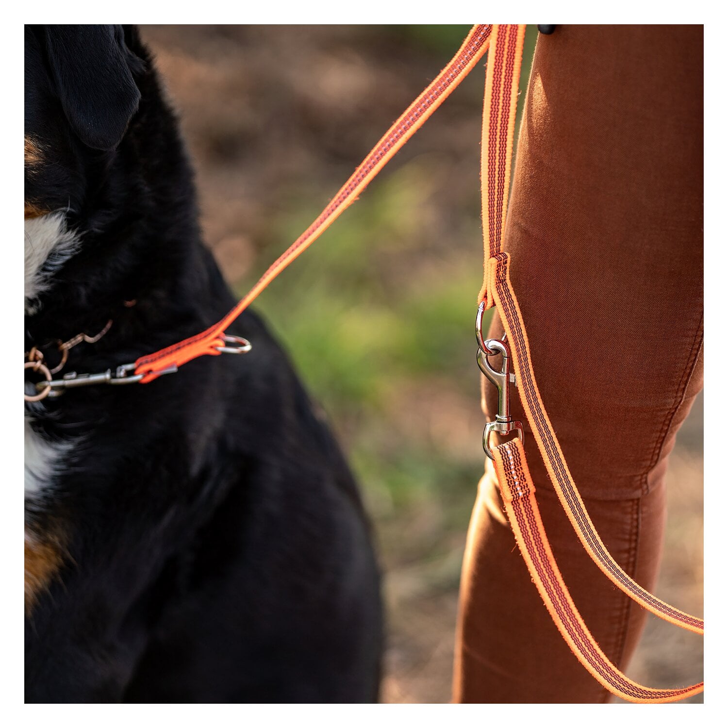 SPRENEGR Gummierte Hundeleine, 3- fach verstellbar, SPRENGER &ndash; Ansicht 4