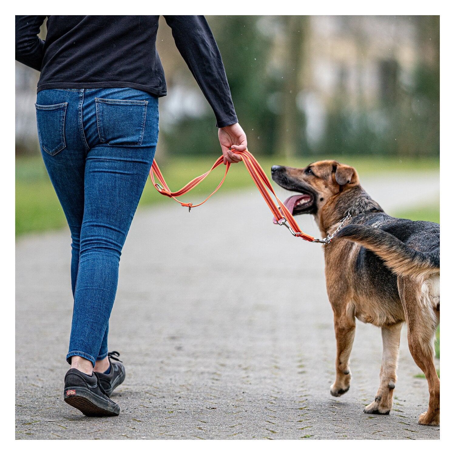 SPRENEGR Gummierte Hundeleine, 3- fach verstellbar, SPRENGER &ndash; Ansicht 7