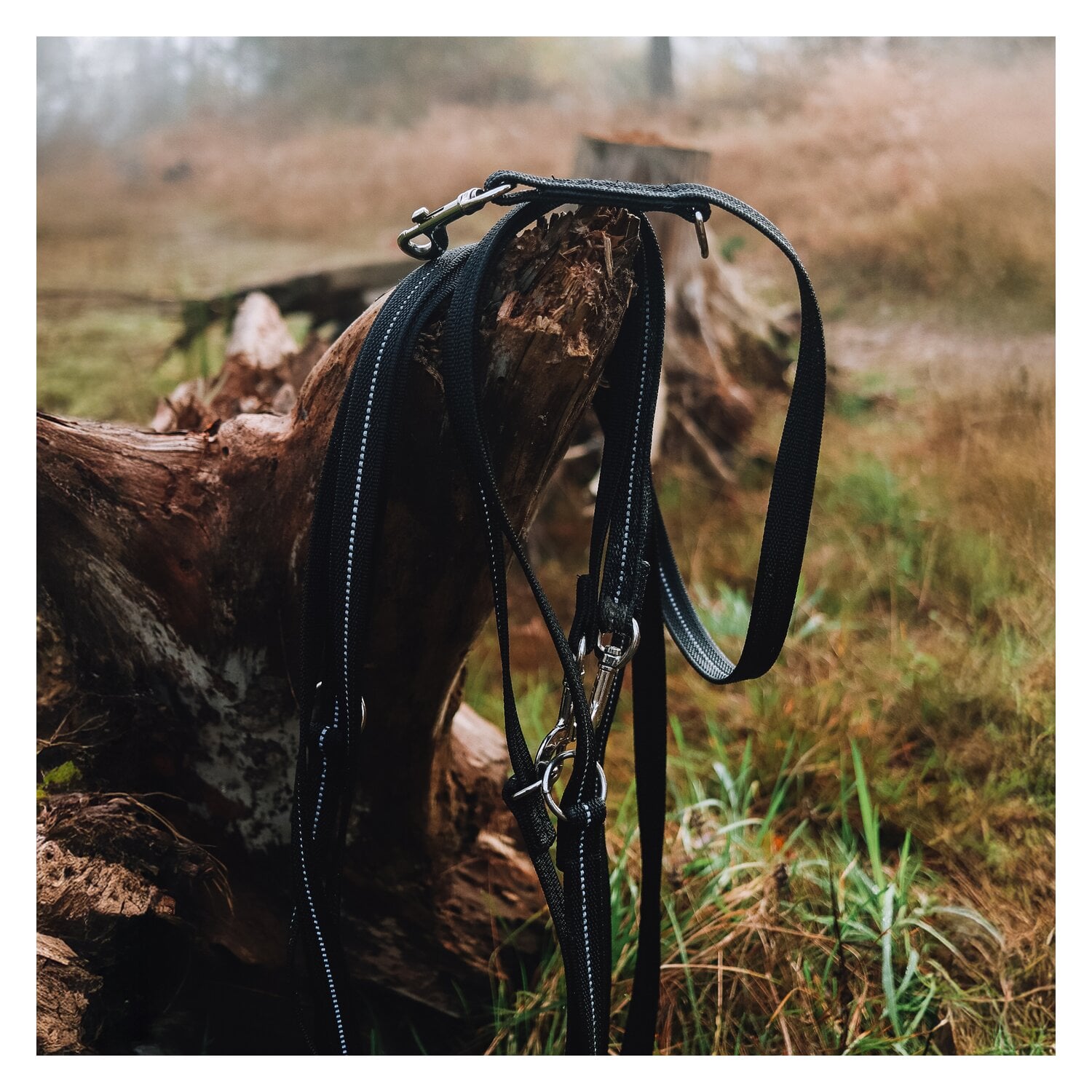 SPRENEGR Gummierte Hundeleine, 3- fach verstellbar, SPRENGER &ndash; Ansicht 3