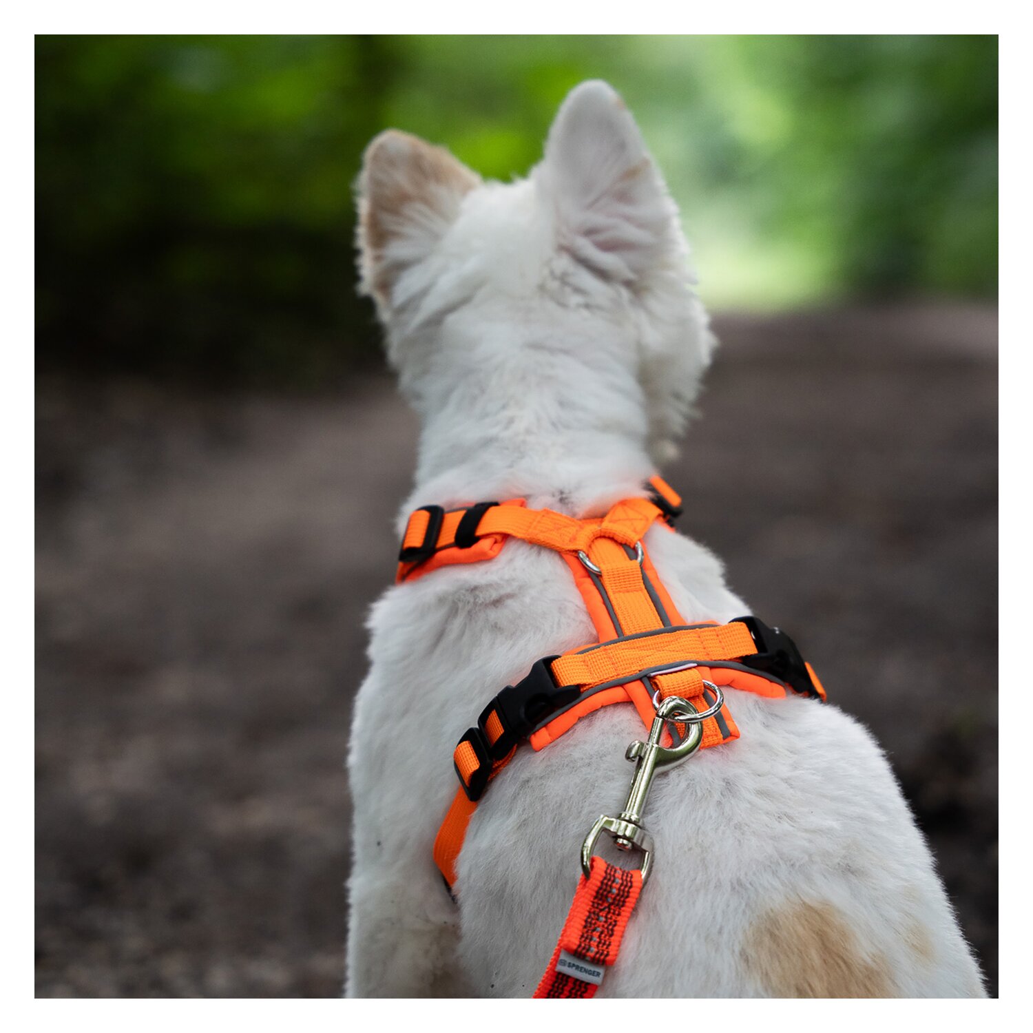 SPRENGER Y-Hundegeschirr 2.0, reflektierend &ndash; Ansicht 8