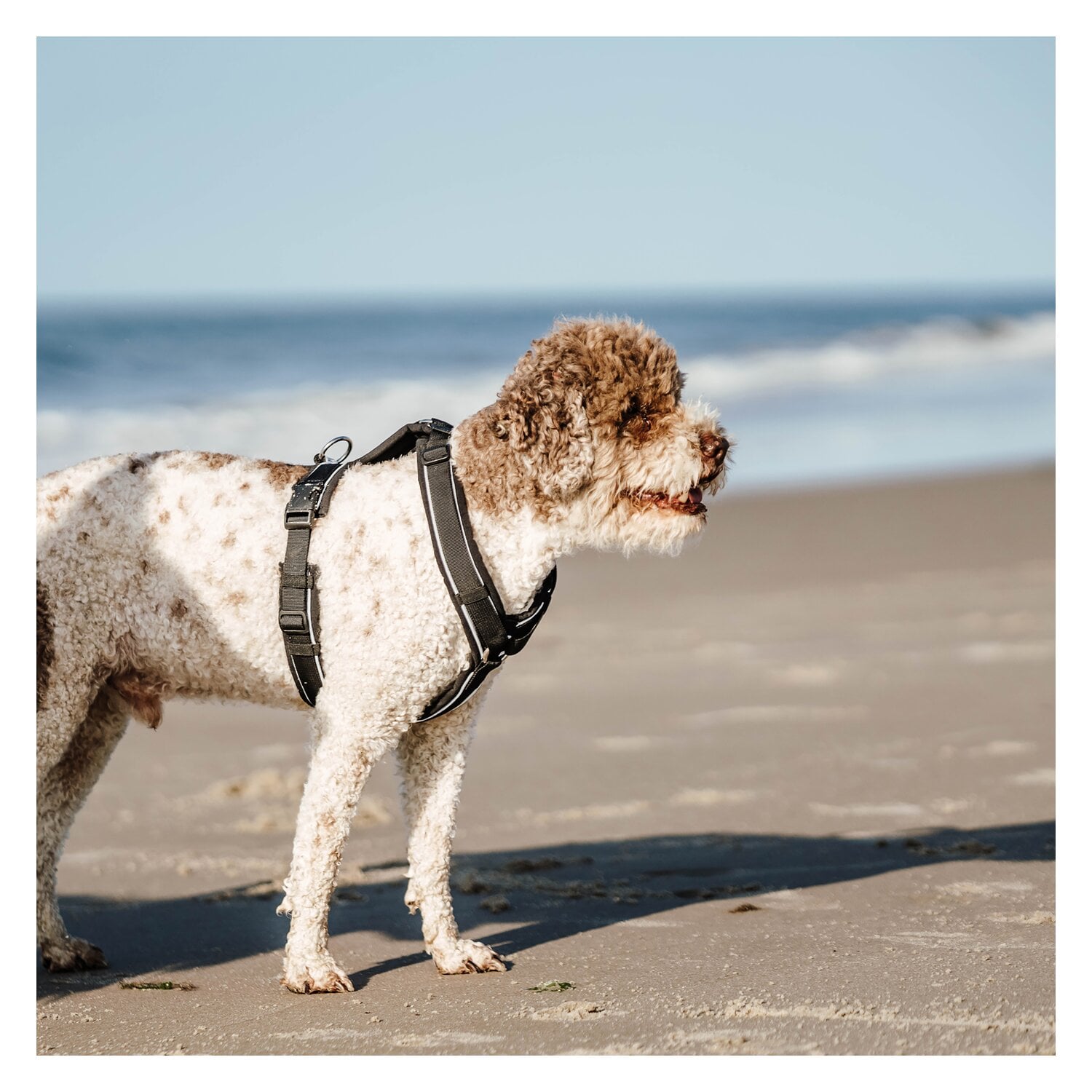 SPRENGER Y-Hundegeschirr 2.0, reflektierend &ndash; Ansicht 4