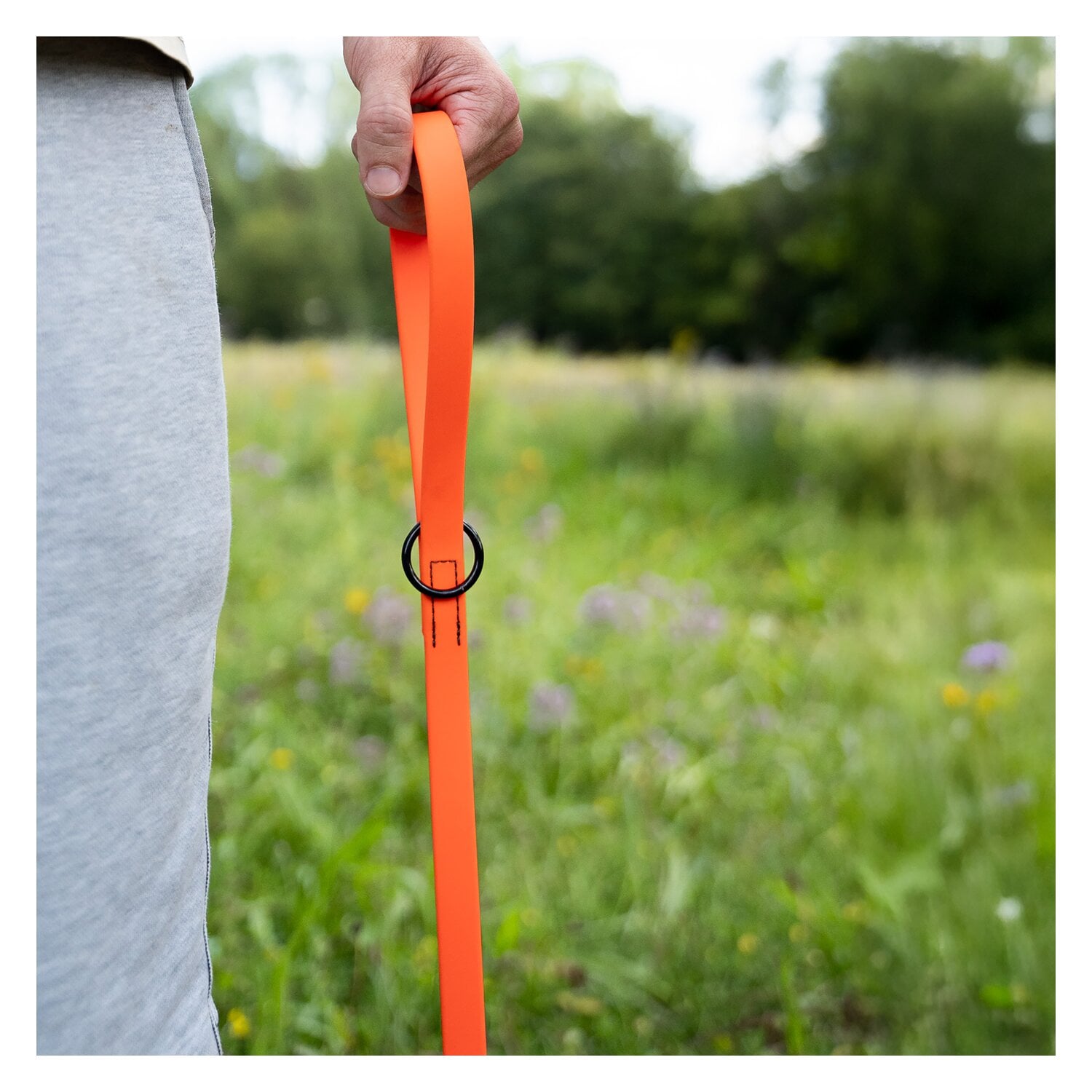 SPRENGER Biothane Leine mit Handschlaufe &ndash; Ansicht 3