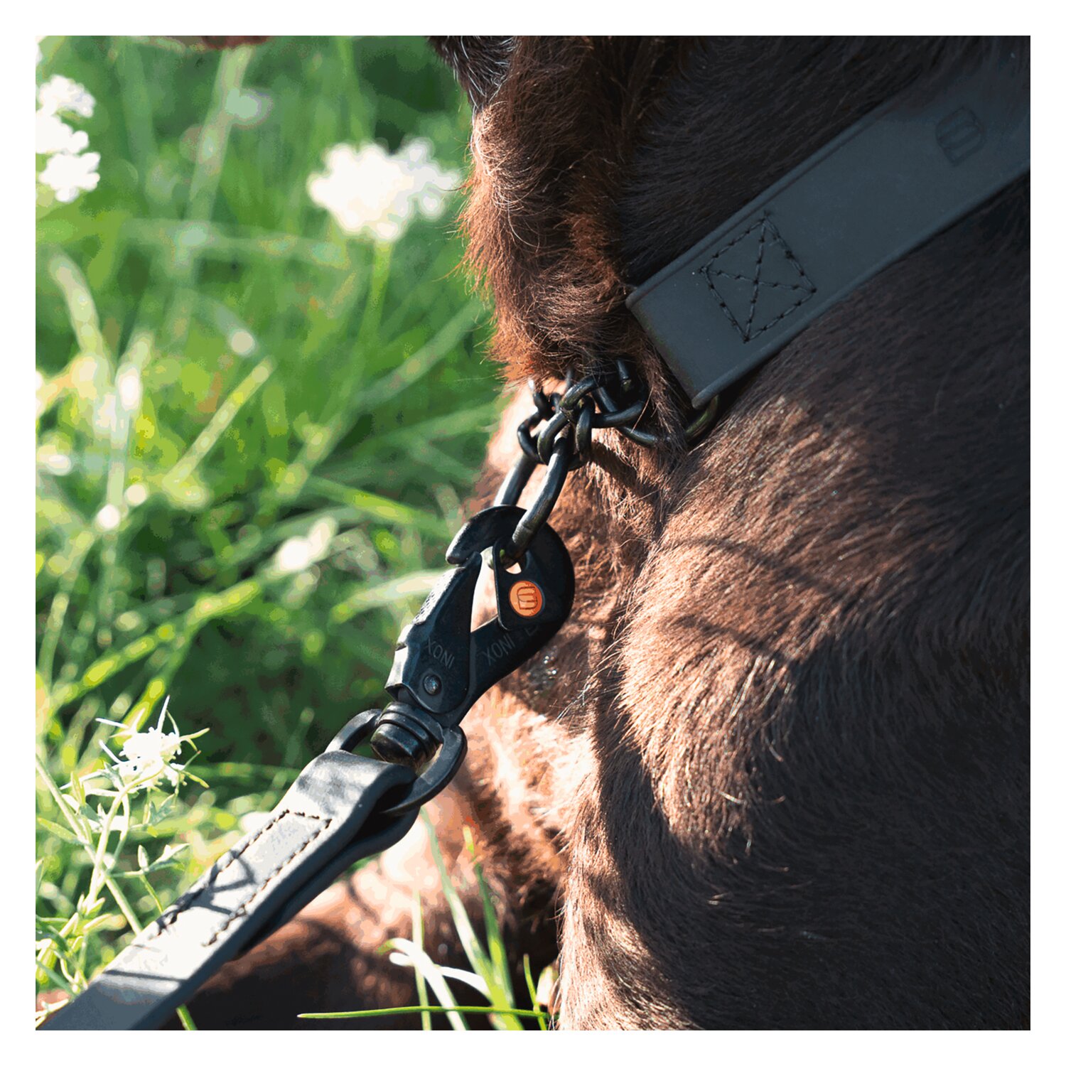 SPRENGER Biothane Leine mit Handschlaufe &ndash; Ansicht 7